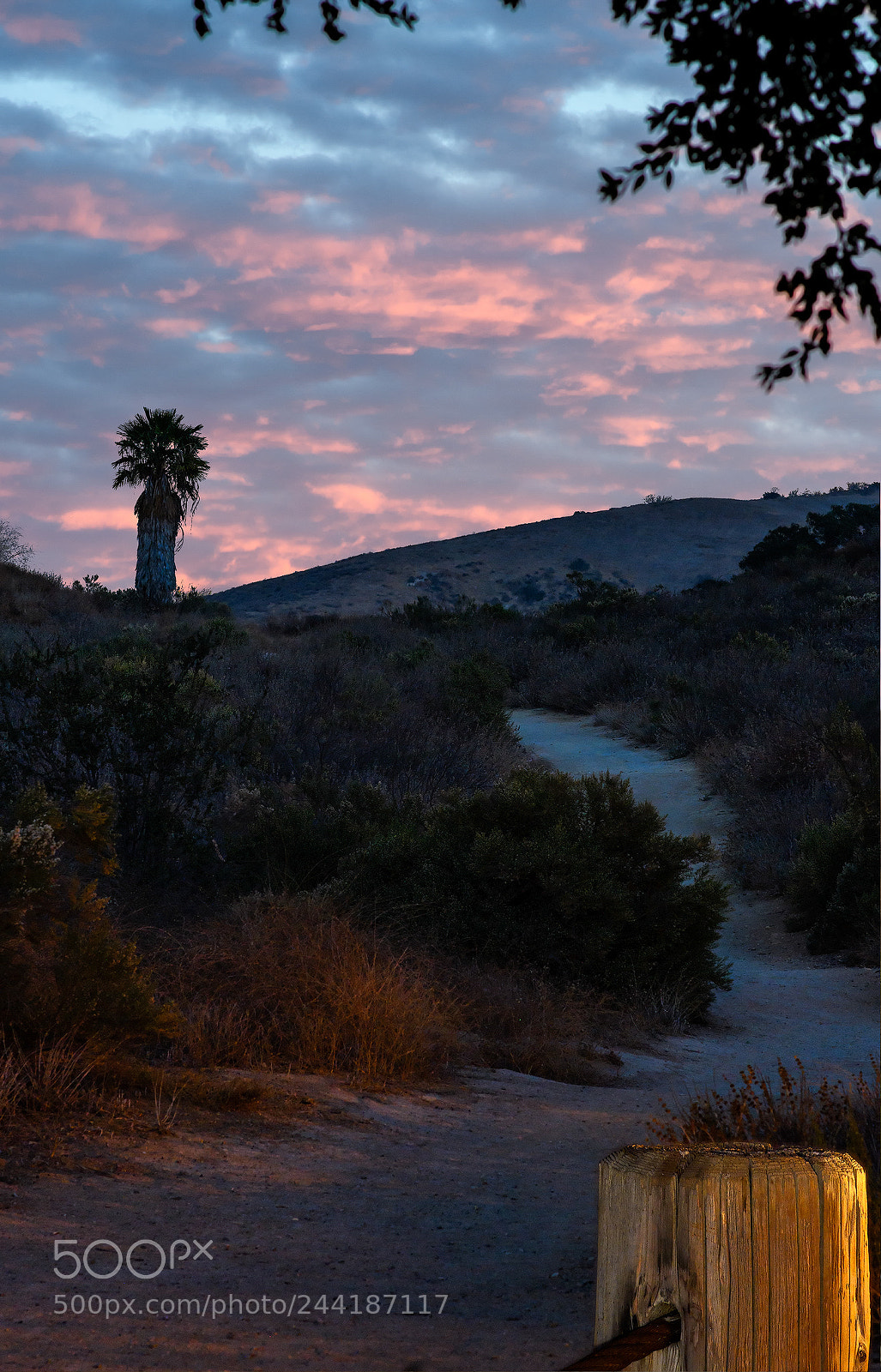 Nikon D500 sample photo. Palo comado canyon photography