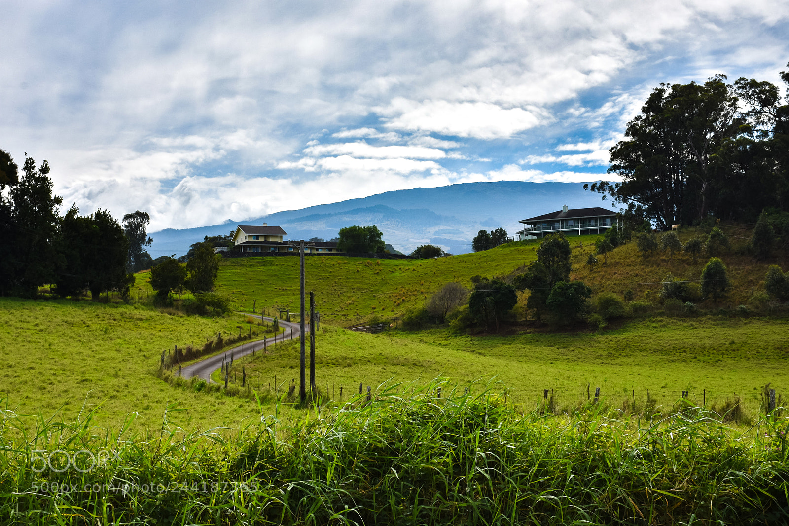 Nikon D7200 sample photo. At home on the photography