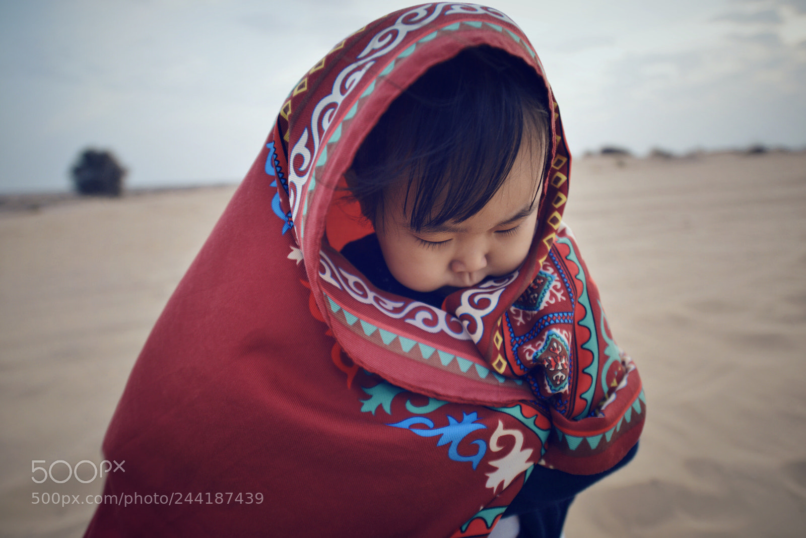 Nikon D800 sample photo. Untitled photography
