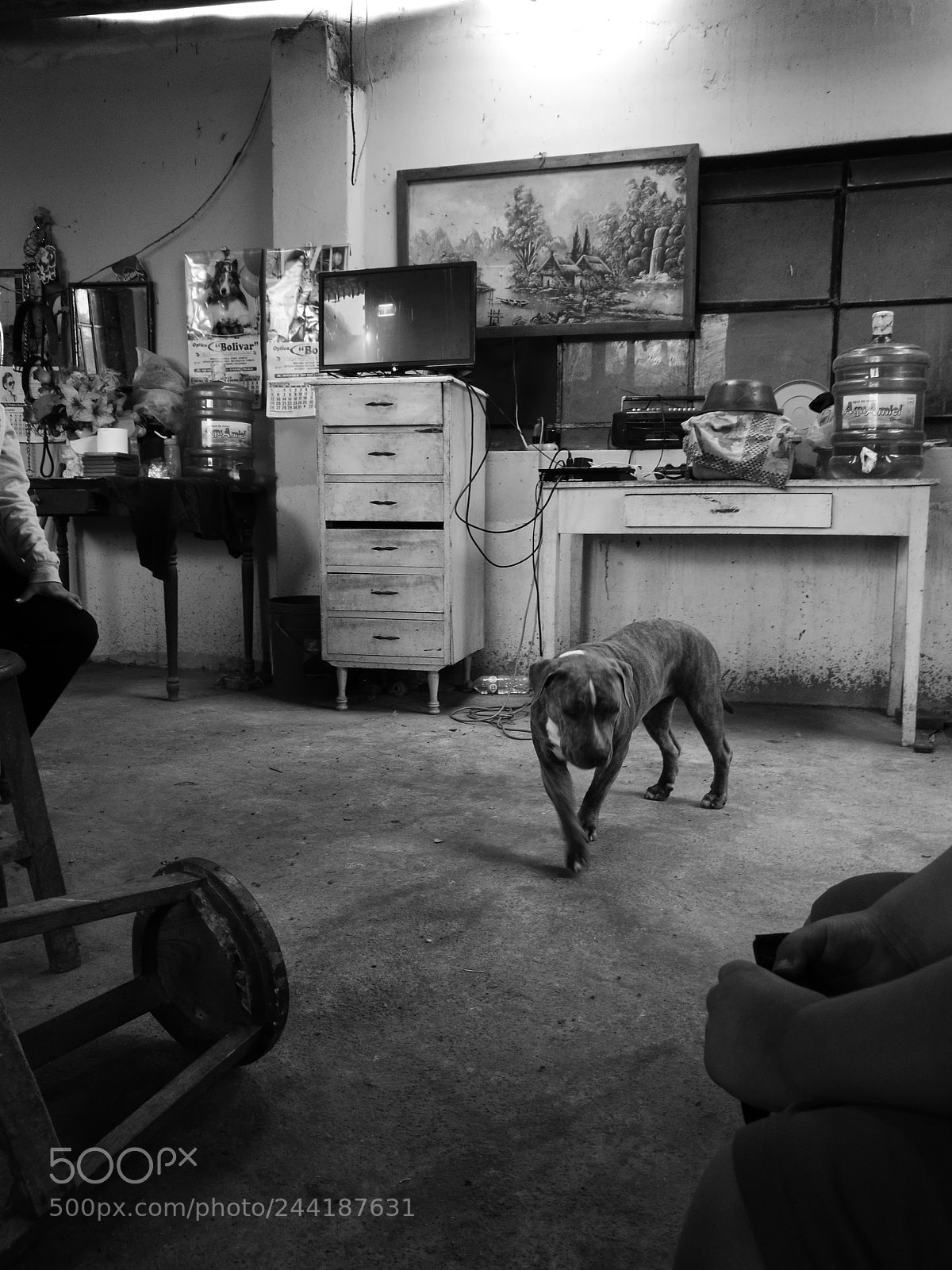 HUAWEI P9 sample photo. Untitled photography