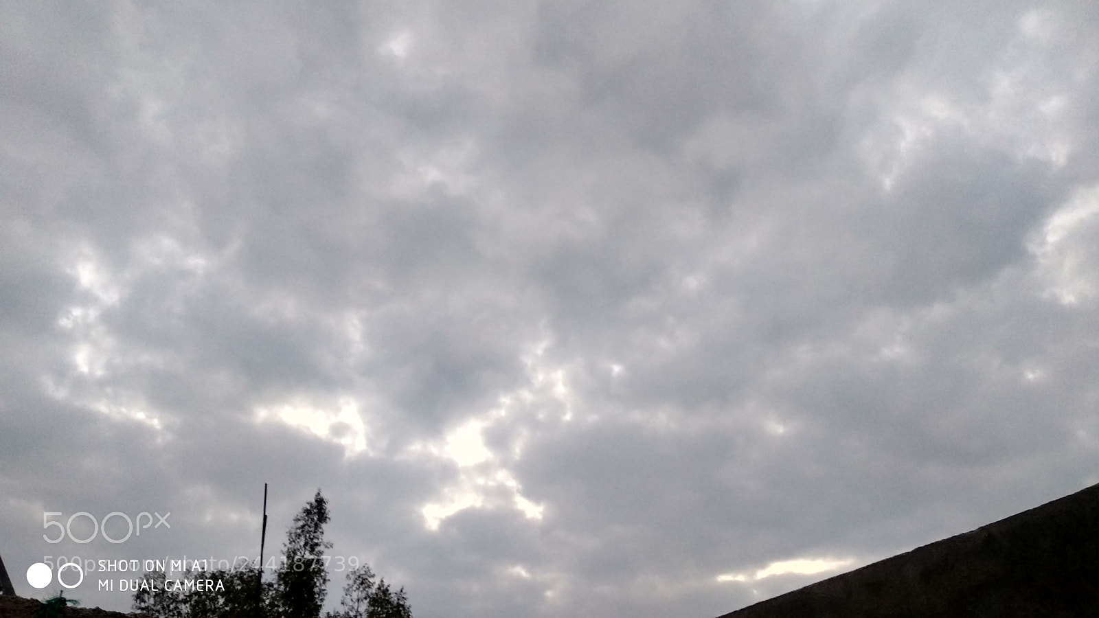 Xiaomi Mi A1 sample photo. Untitled photography