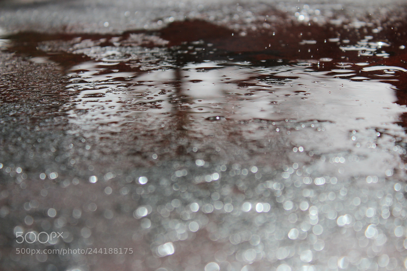 Canon EOS 1300D (EOS Rebel T6 / EOS Kiss X80) sample photo. Puddle on concrete photography