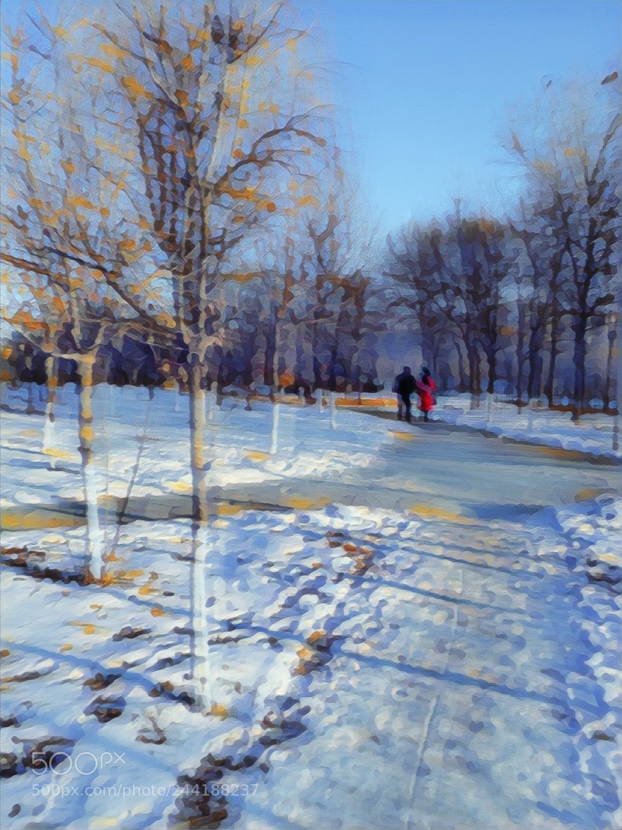 HUAWEI Honor 8 sample photo. Winter impression photography