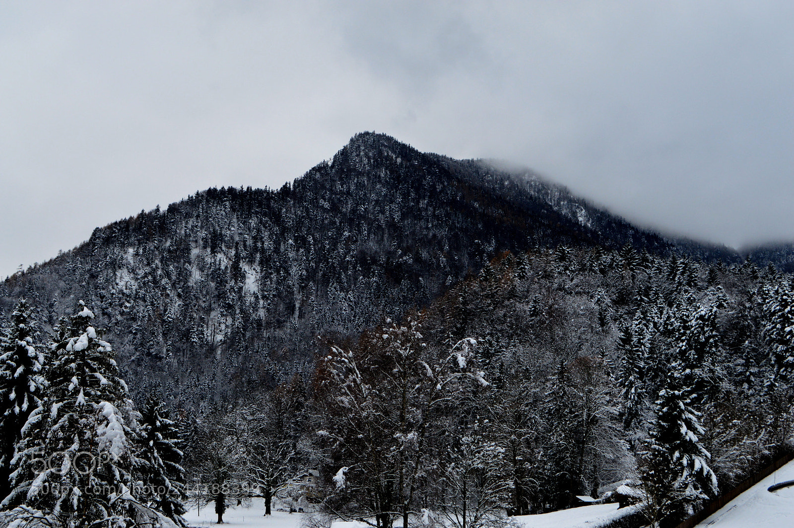 Nikon D3200 sample photo. No name photography
