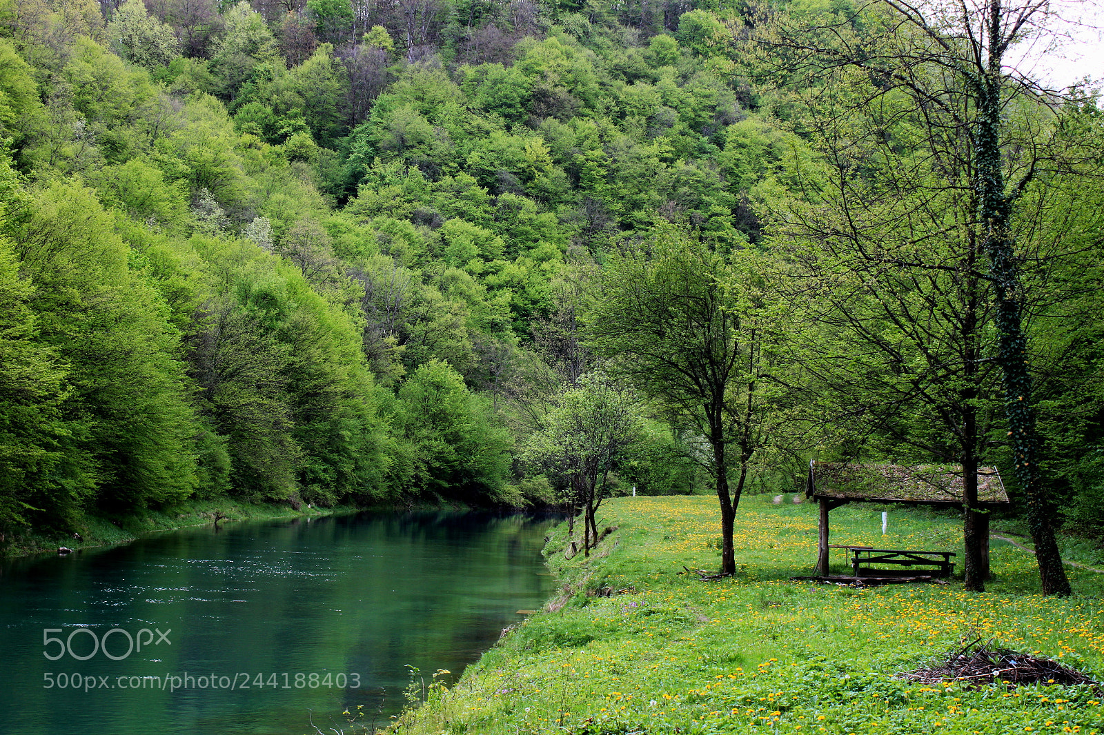Canon EF-S 18-55mm F3.5-5.6 IS sample photo. Green is life photography