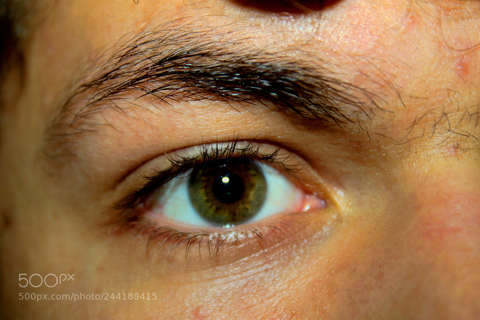 Canon EF-S 18-55mm F3.5-5.6 IS sample photo. Eye photography