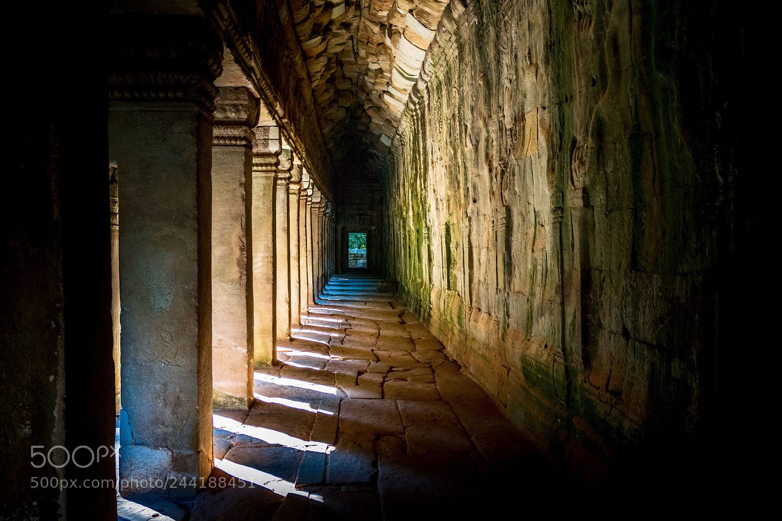 Nikon D3400 sample photo. Ta prohm temple, cambodia photography