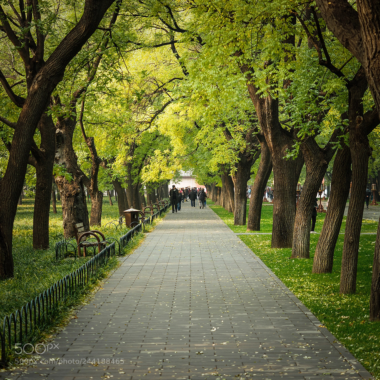 Olympus OM-D E-M5 II sample photo. Beijing photography
