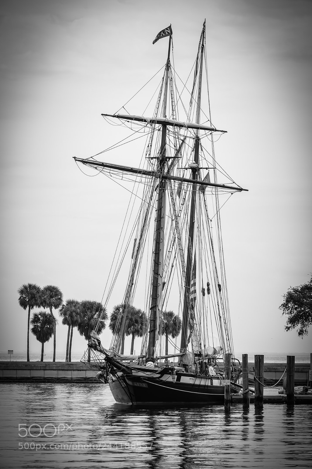 Fujifilm X-E3 sample photo. St pete b&w photography