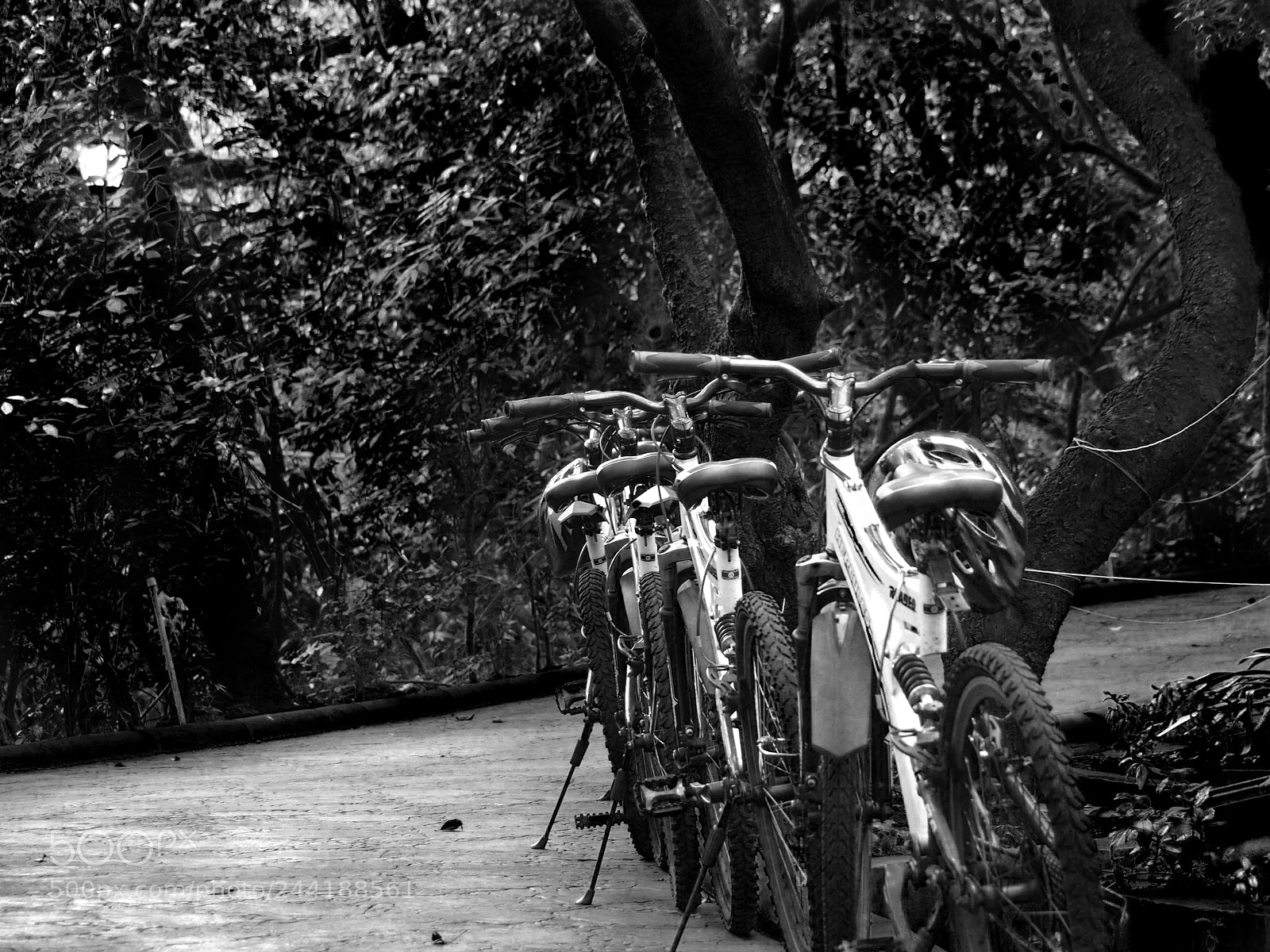 Olympus OM-D E-M10 III sample photo. Bicycles photography