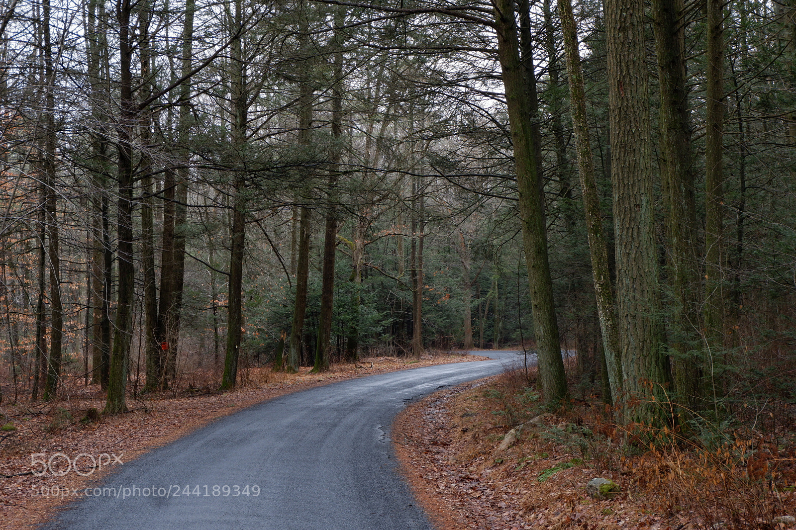 Fujifilm X-A3 sample photo. Hawk mountain adventure photography