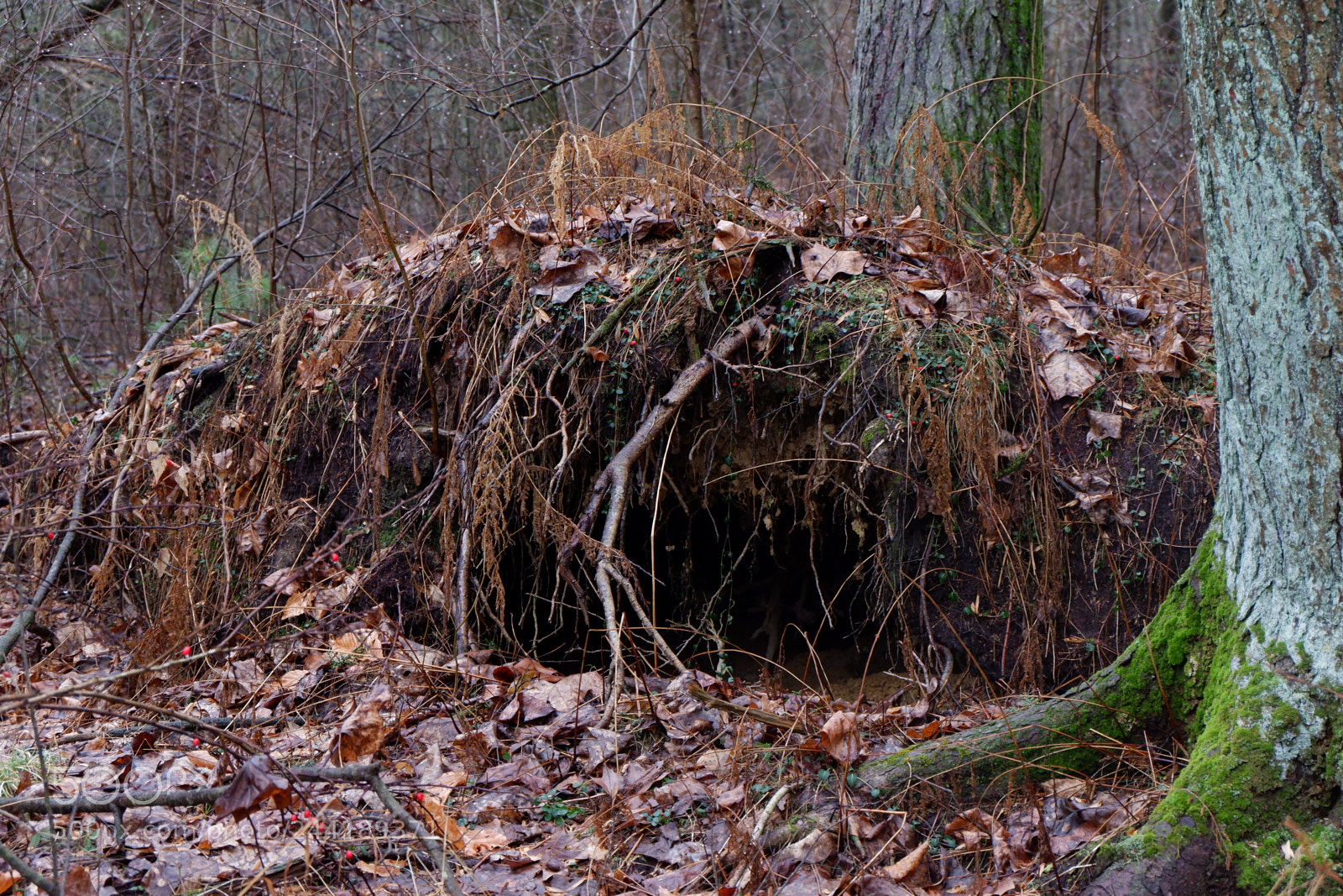 Fujifilm X-A3 sample photo. Hawk mountain adventure photography