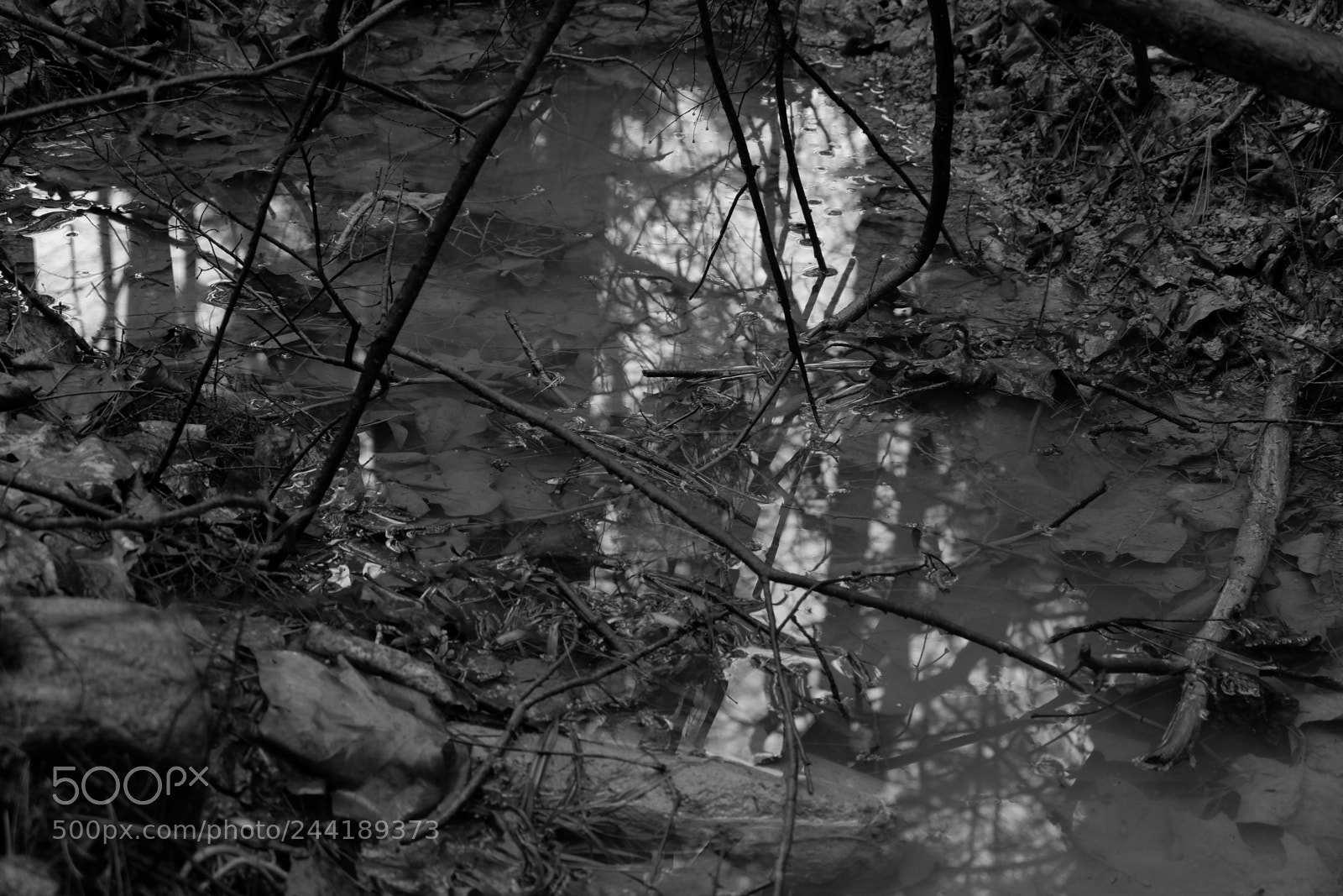 Fujifilm X-A3 sample photo. Hawk mountain adventure photography