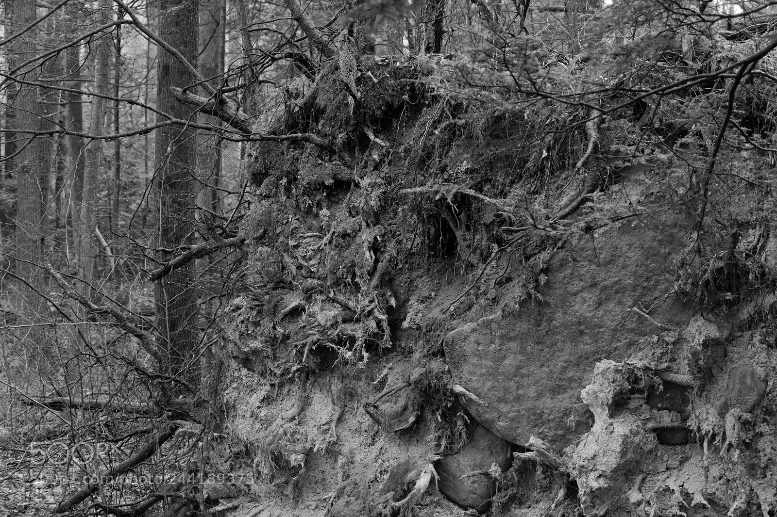 Fujifilm X-A3 sample photo. Hawk mountain adventure photography
