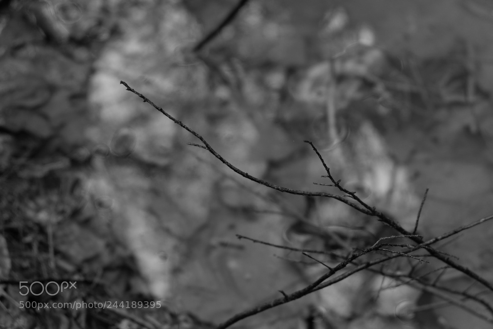 Fujifilm X-A3 sample photo. Hawk mountain adventure photography
