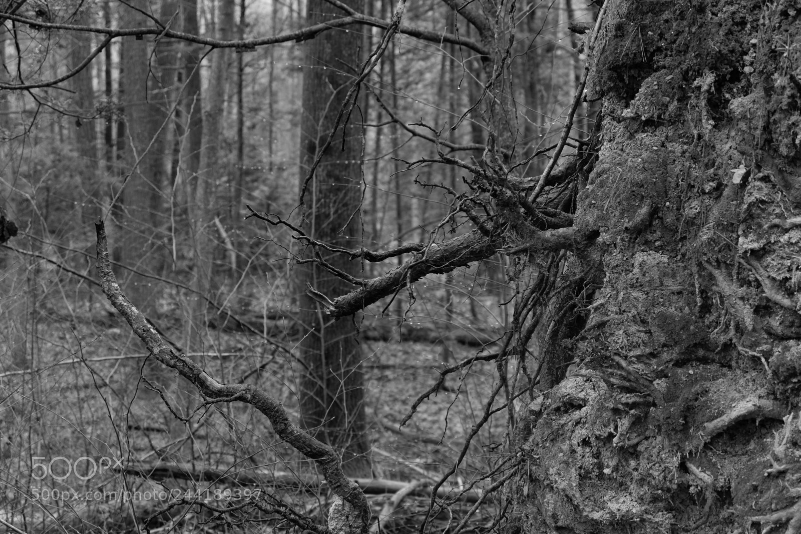 Fujifilm X-A3 sample photo. Hawk mountain adventure photography
