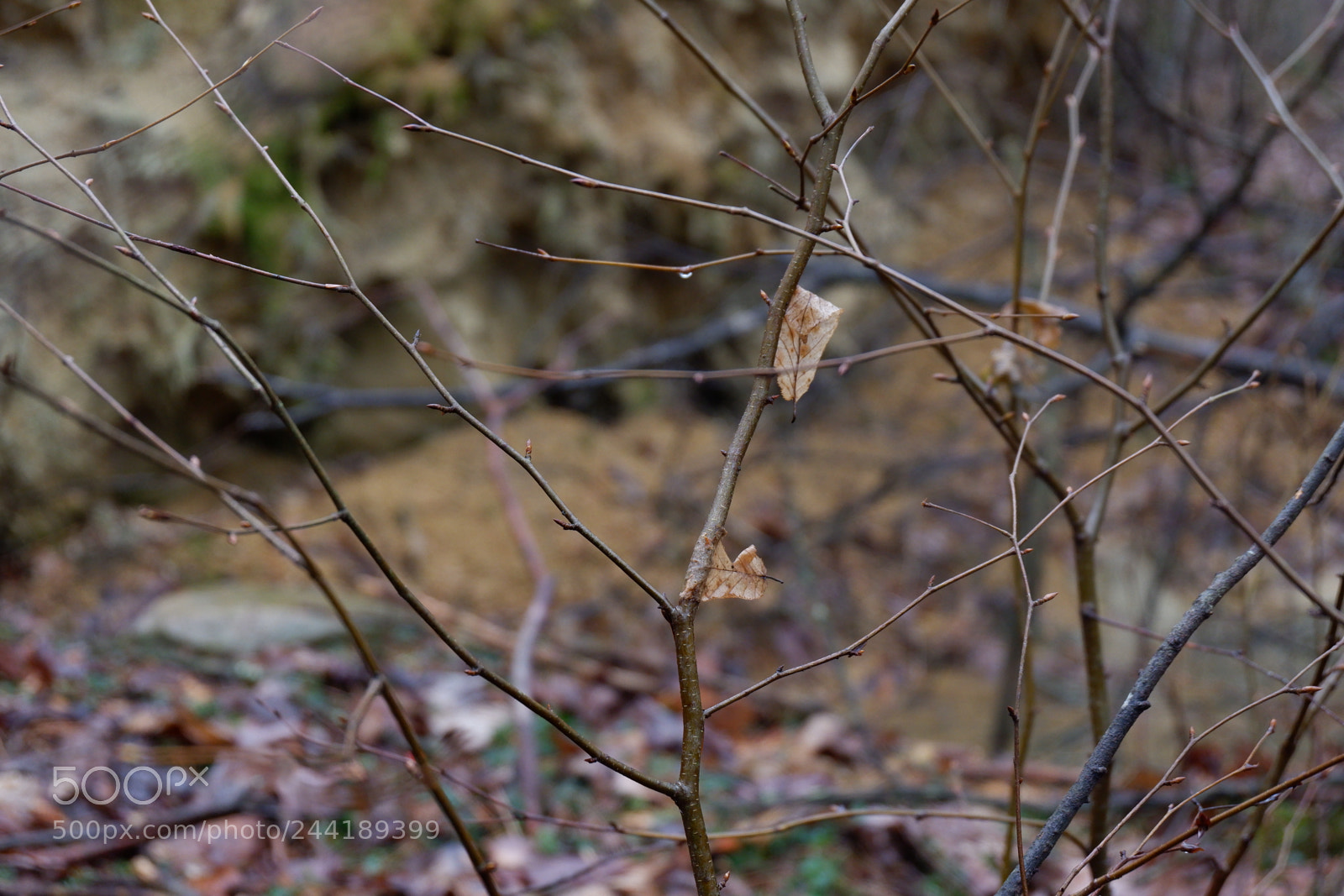 Fujifilm X-A3 sample photo. Hawk mountain adventure photography
