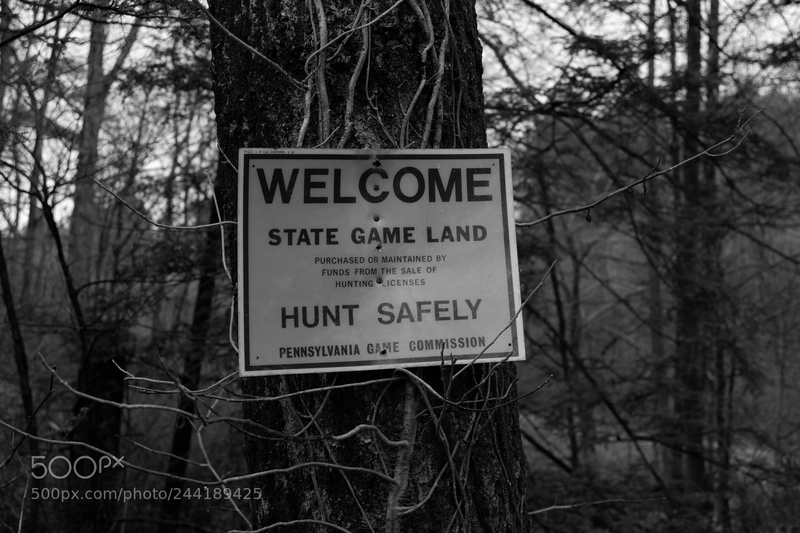 Fujifilm X-A3 sample photo. Hawk mountain adventure photography