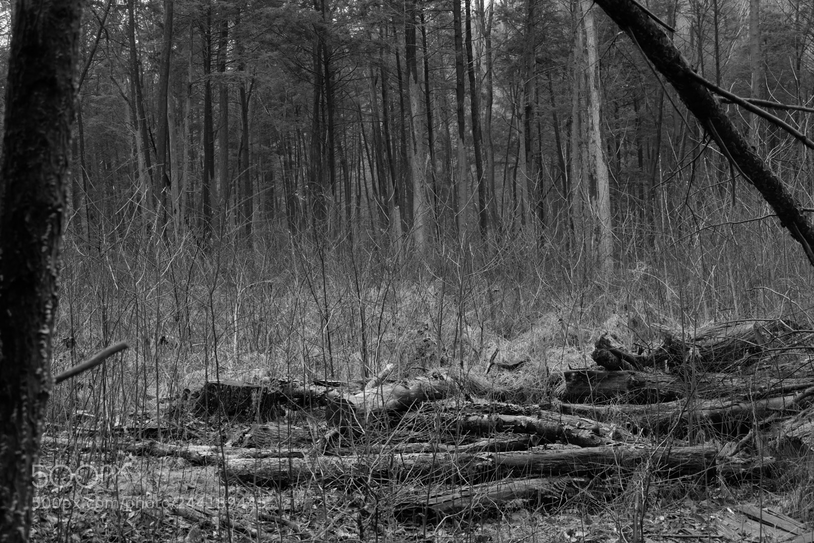 Fujifilm X-A3 sample photo. Hawk mountain adventure photography