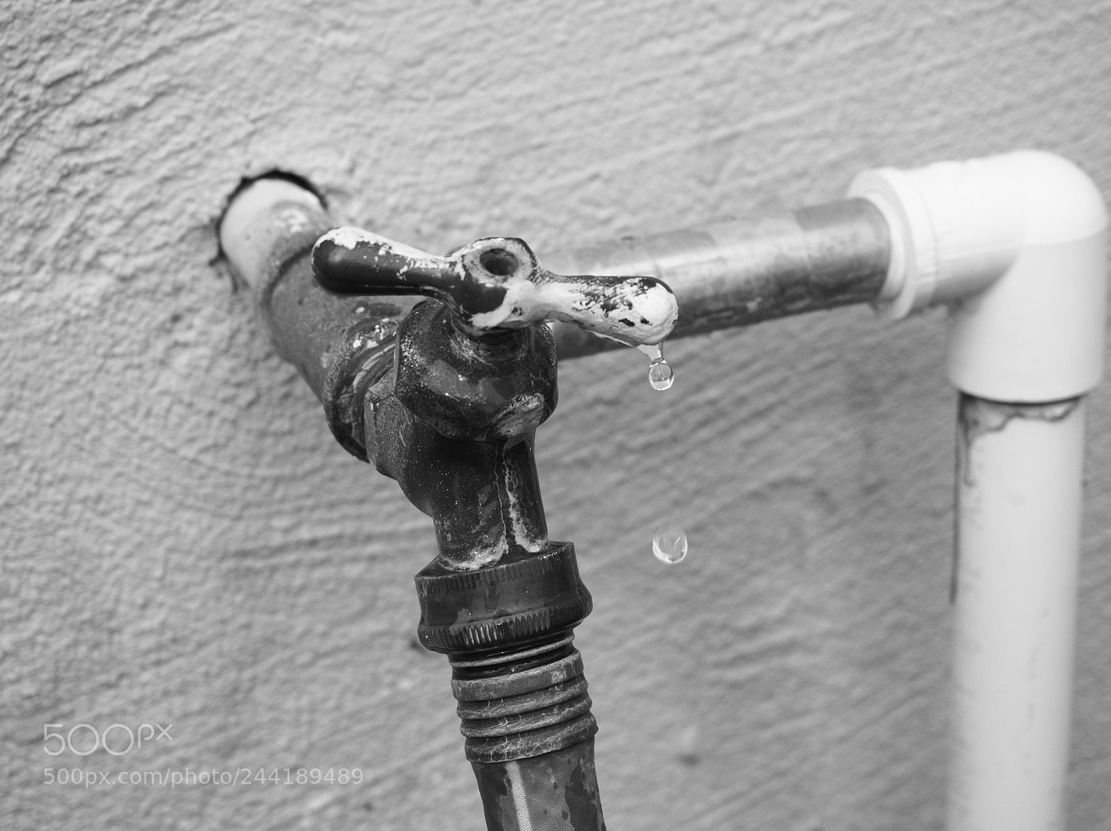 Olympus OM-D E-M10 II sample photo. Drip photography
