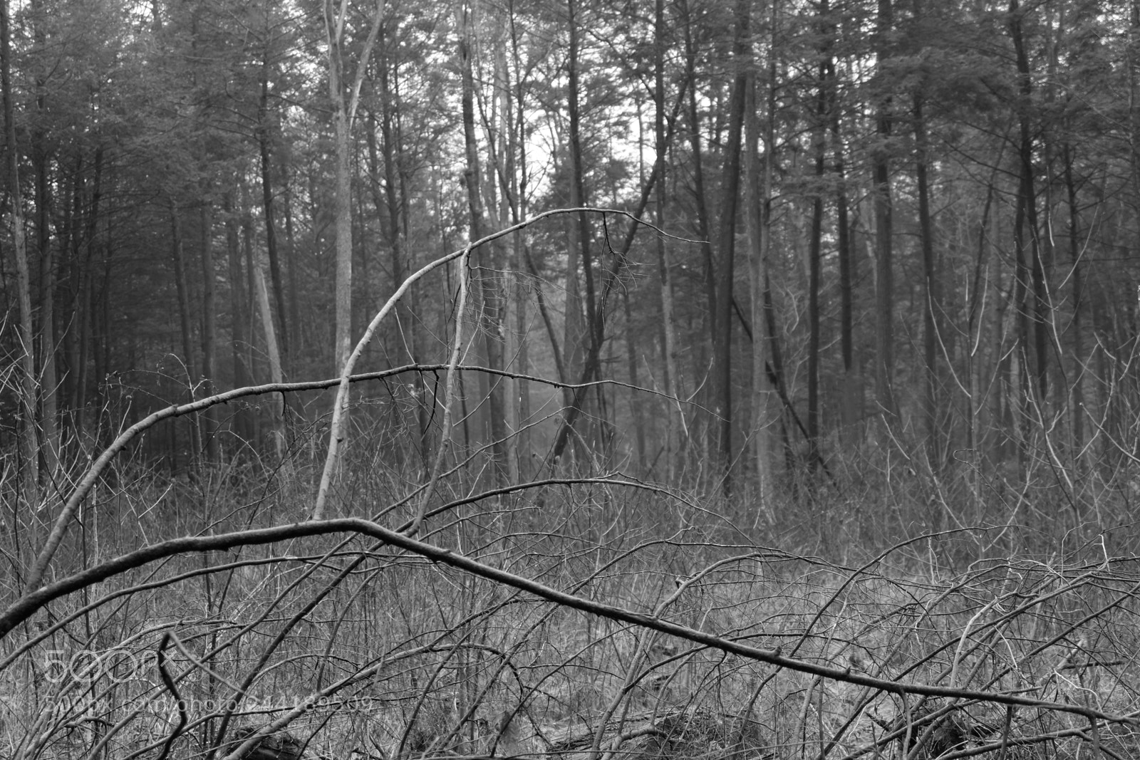 Fujifilm X-A3 sample photo. Hawk mountain adventure photography
