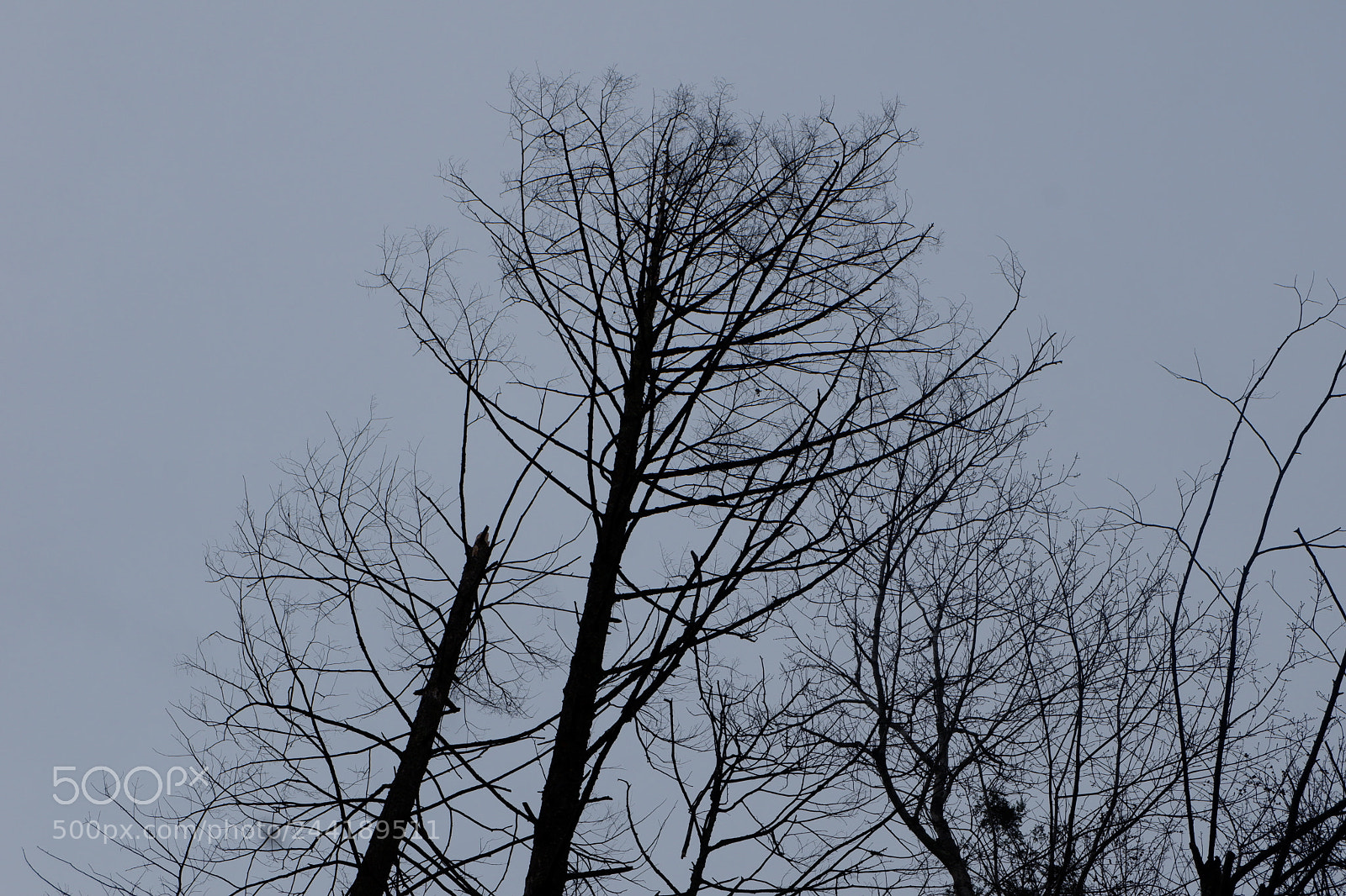 Fujifilm X-A3 sample photo. Hawk mountain adventure photography