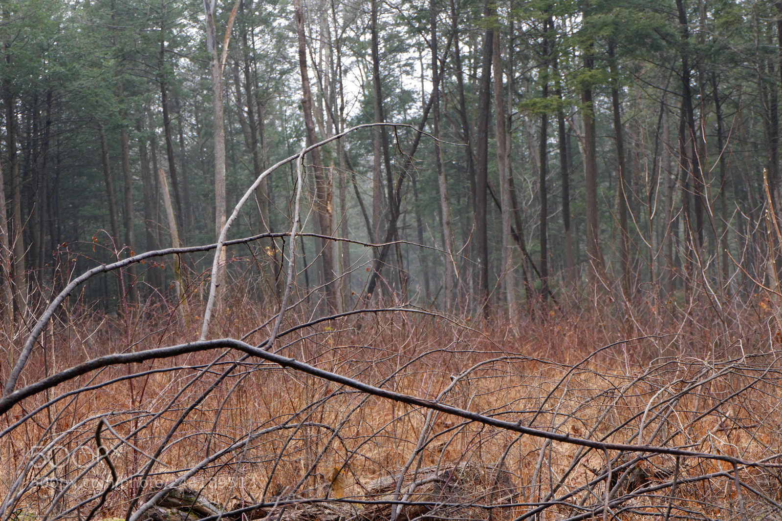 Fujifilm X-A3 sample photo. Hawk mountain adventure photography