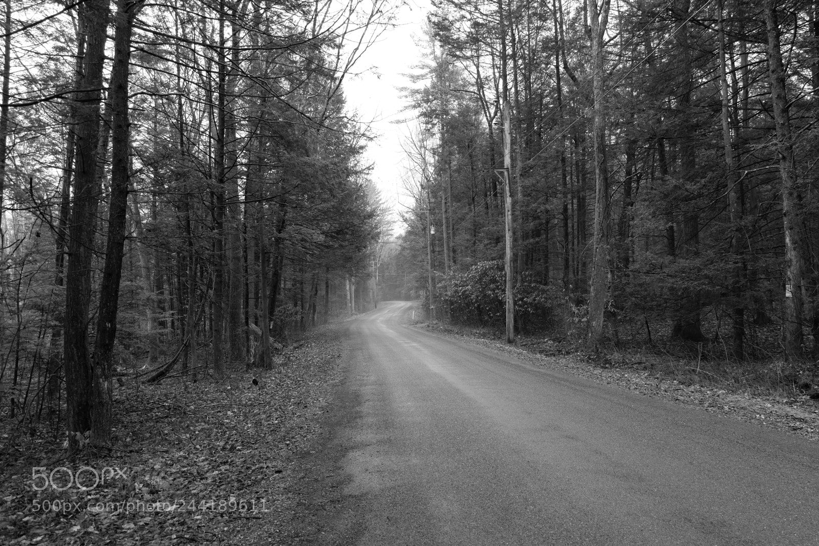 Fujifilm X-A3 sample photo. Hawk mountain adventure photography