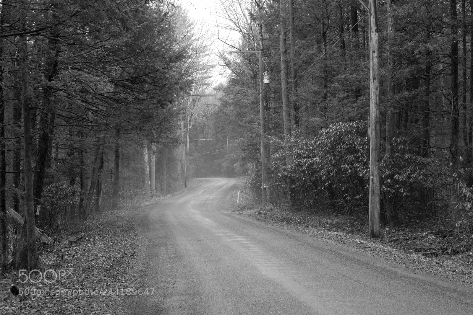 Fujifilm X-A3 sample photo. Hawk mountain adventure photography