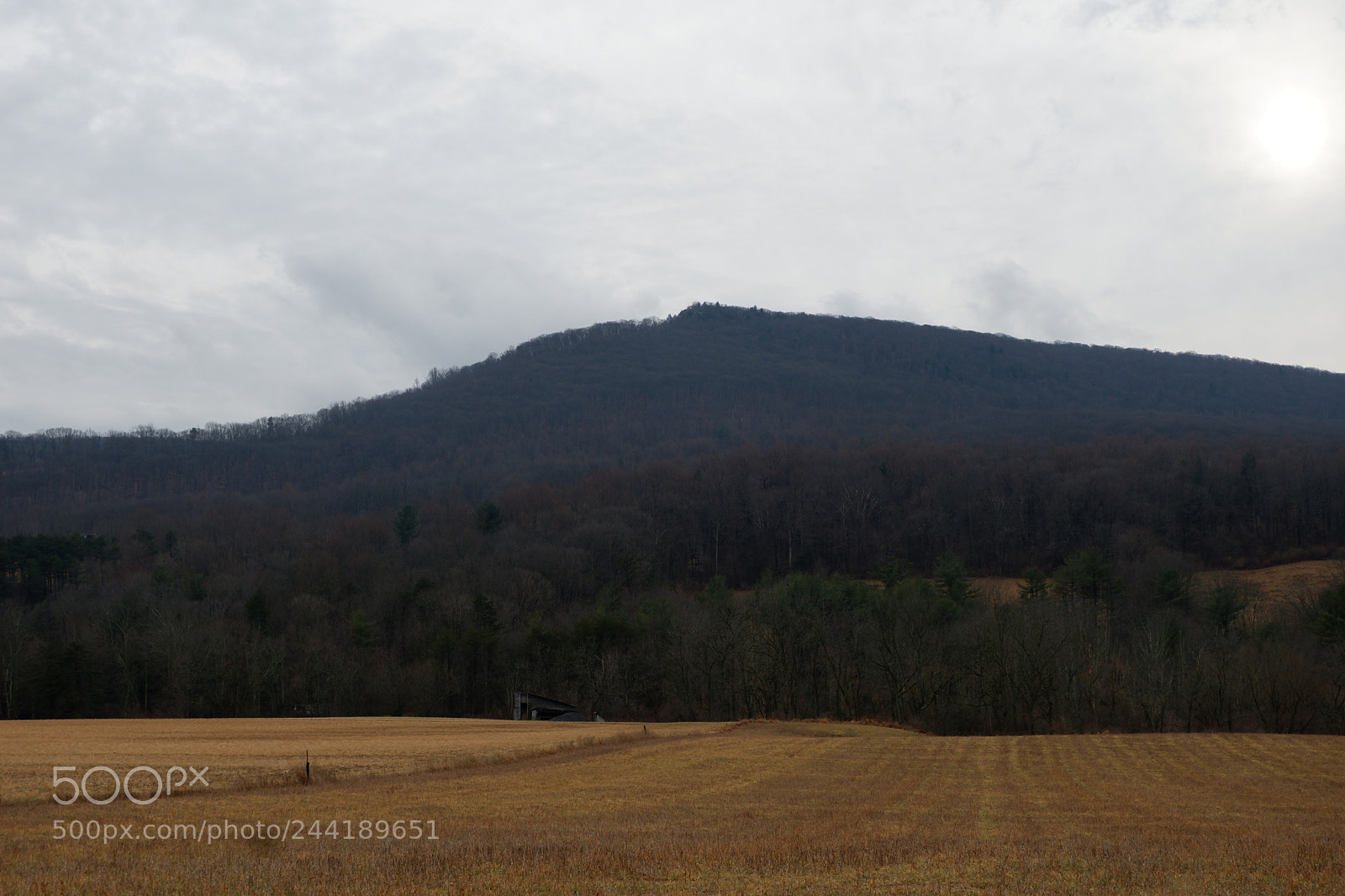 Fujifilm X-A3 sample photo. Hawk mountain adventure photography
