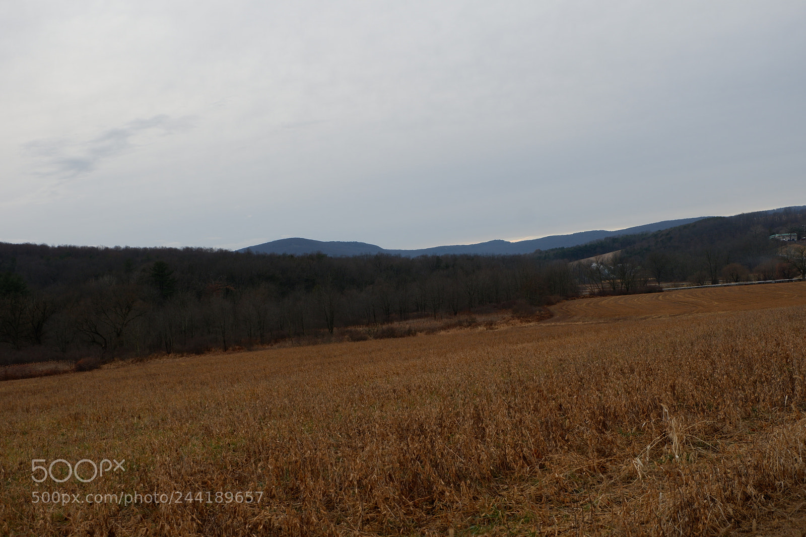 Fujifilm X-A3 sample photo. Hawk mountain adventure photography