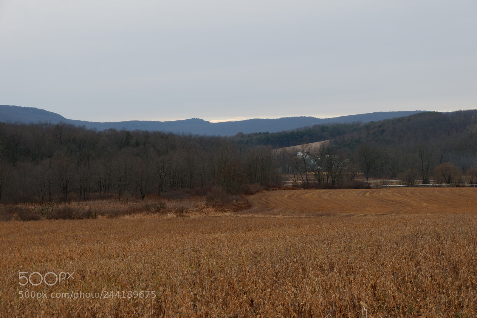 Fujifilm X-A3 sample photo. Hawk mountain adventure photography