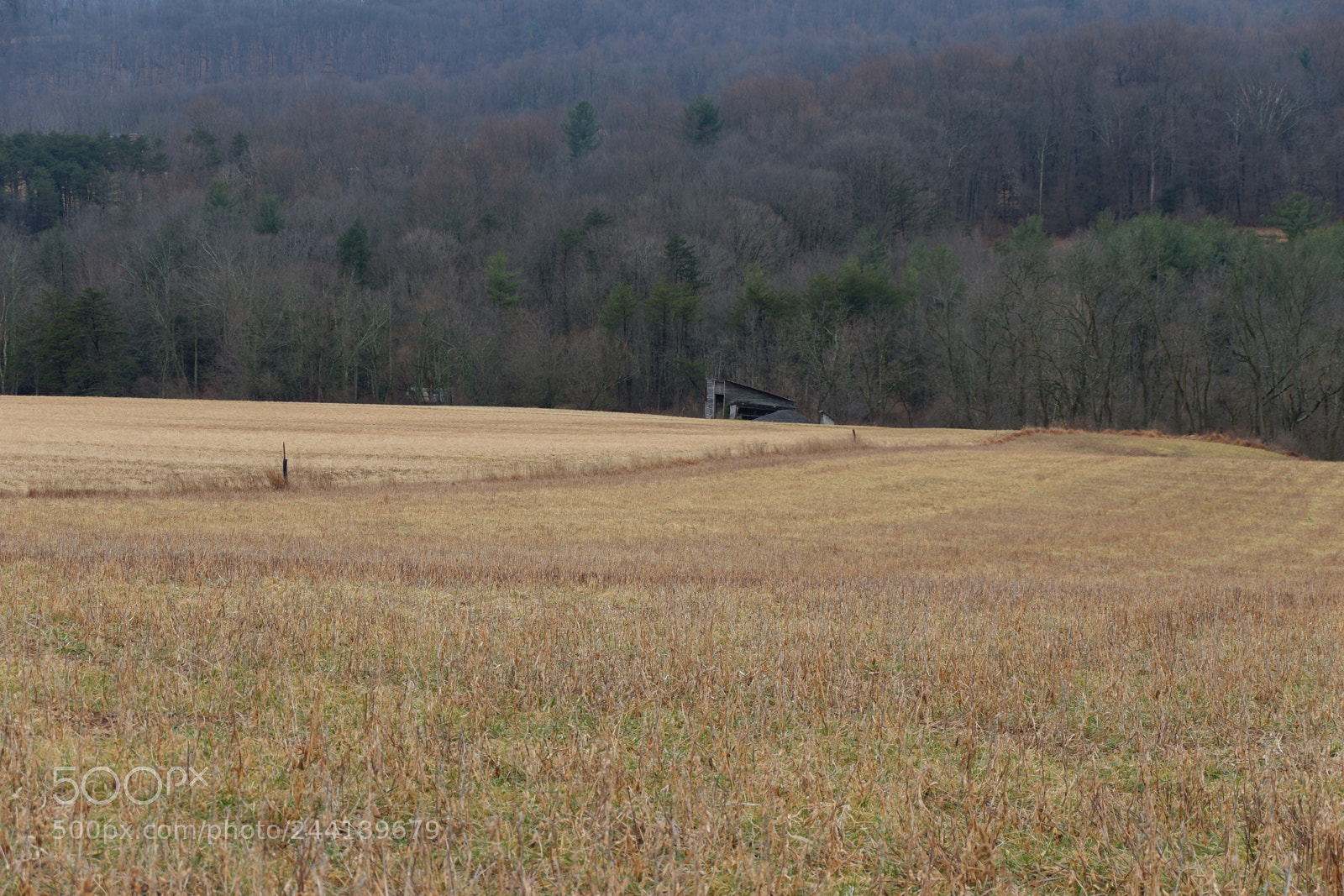 Fujifilm X-A3 sample photo. Hawk mountain adventure photography