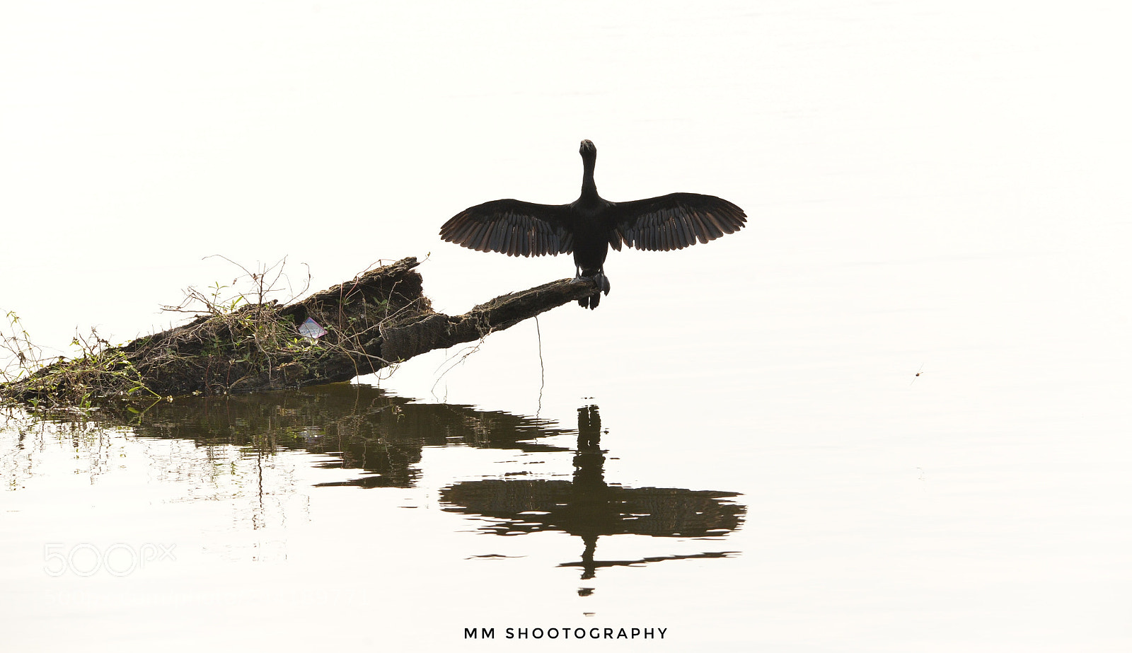 Nikon D610 sample photo. Stretch photography