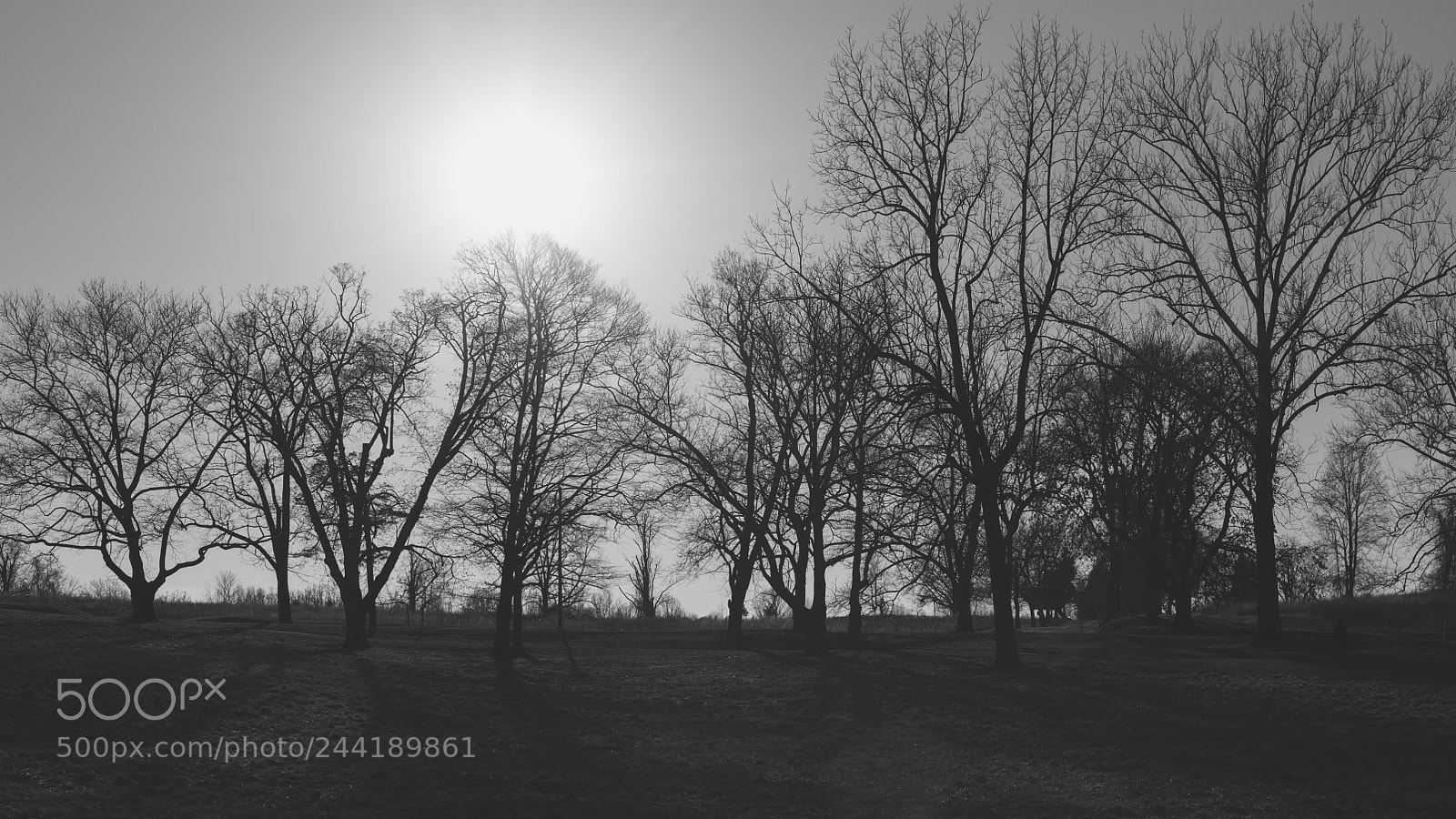 Nikon D850 sample photo. Valley forge photography