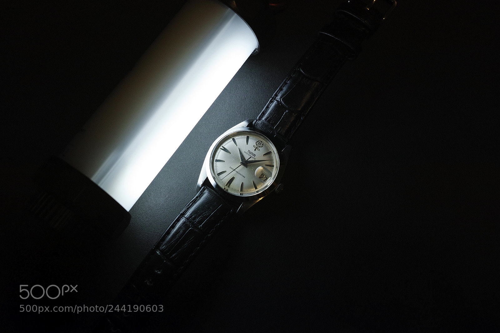 Sigma dp2 Quattro sample photo. Tudor big rose photography