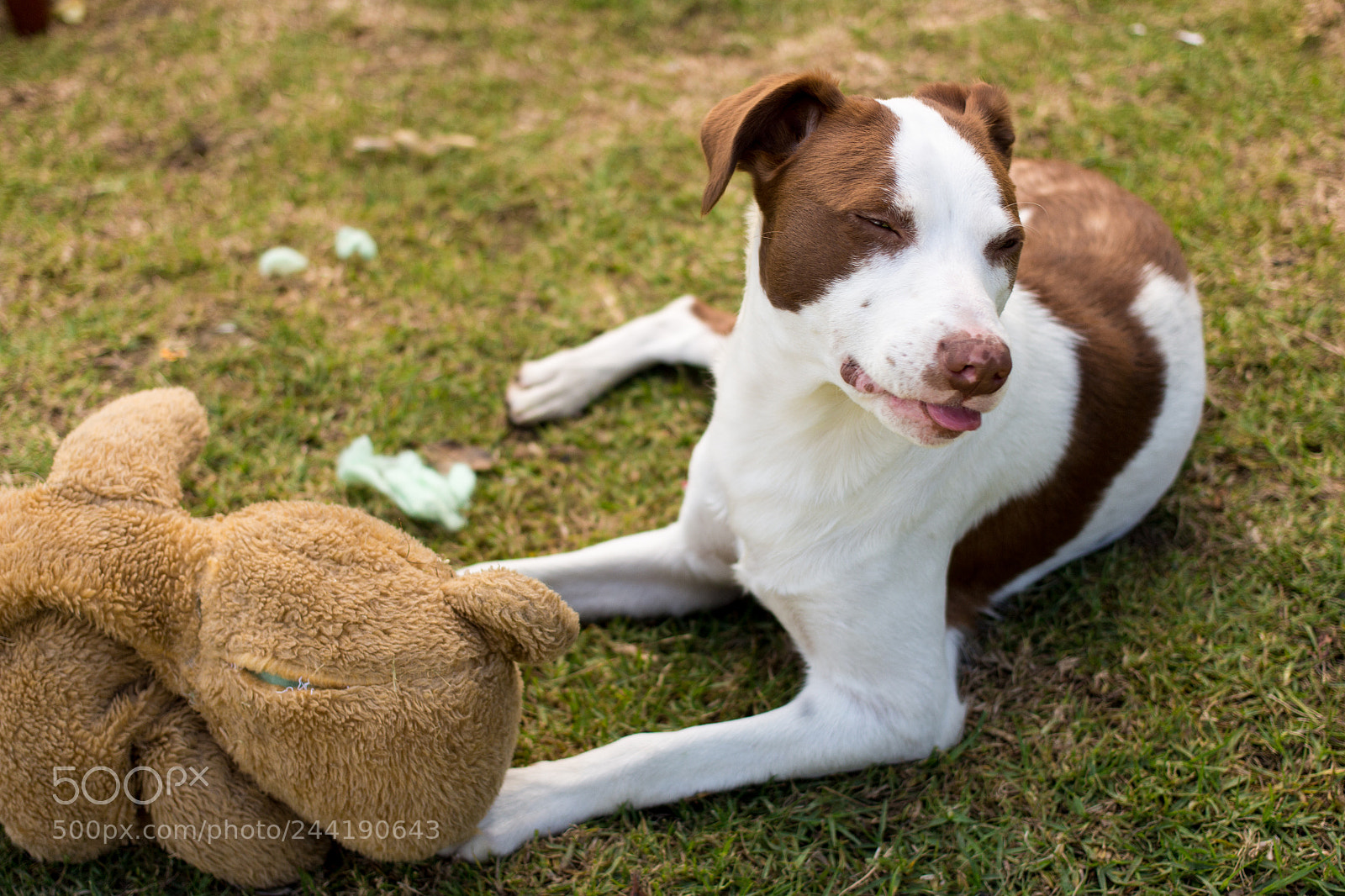 Canon EOS 700D (EOS Rebel T5i / EOS Kiss X7i) sample photo. Kiara ii photography