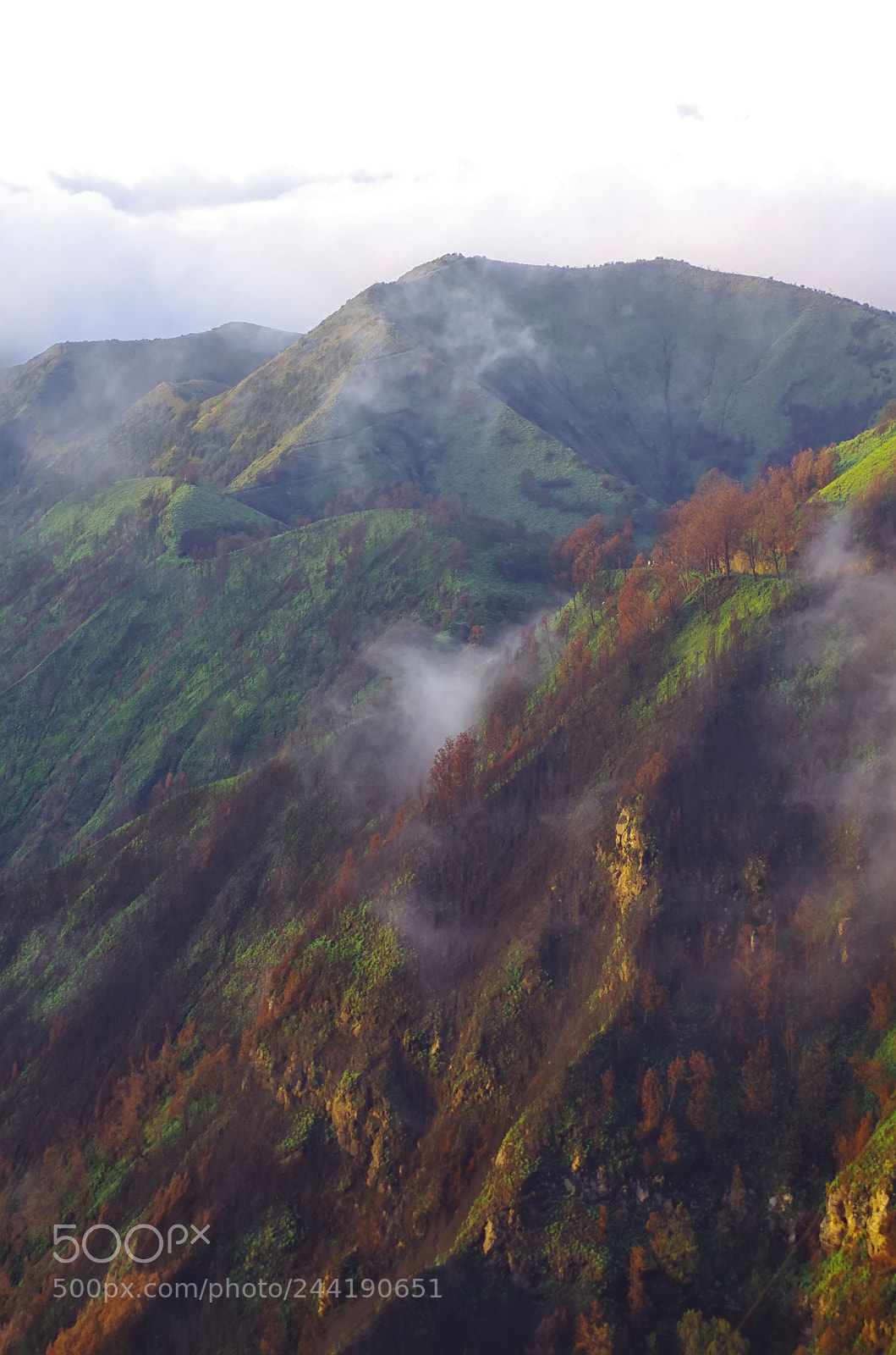Pentax K-5 sample photo. Taman nasional bromo tengger photography