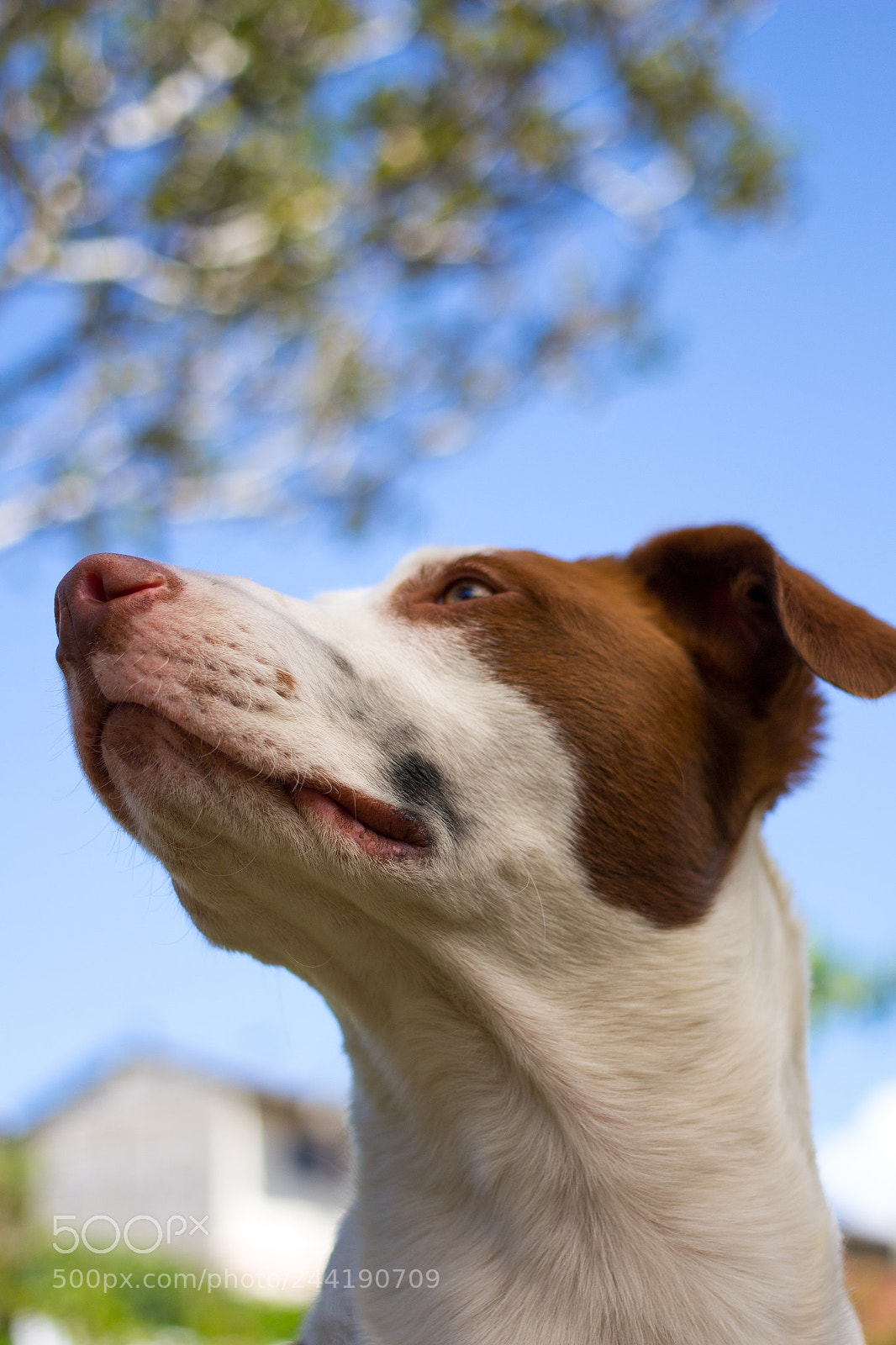 Canon EOS 700D (EOS Rebel T5i / EOS Kiss X7i) sample photo. Kiara iii photography