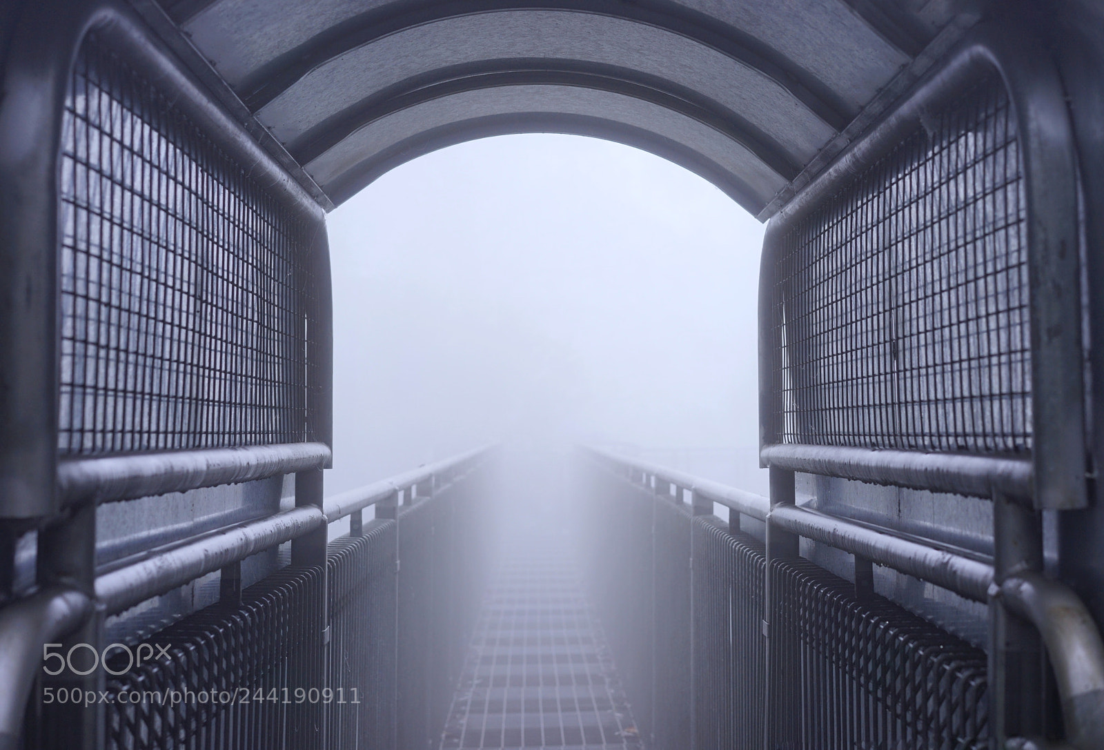 Sony a7 II sample photo. Dream1 photography