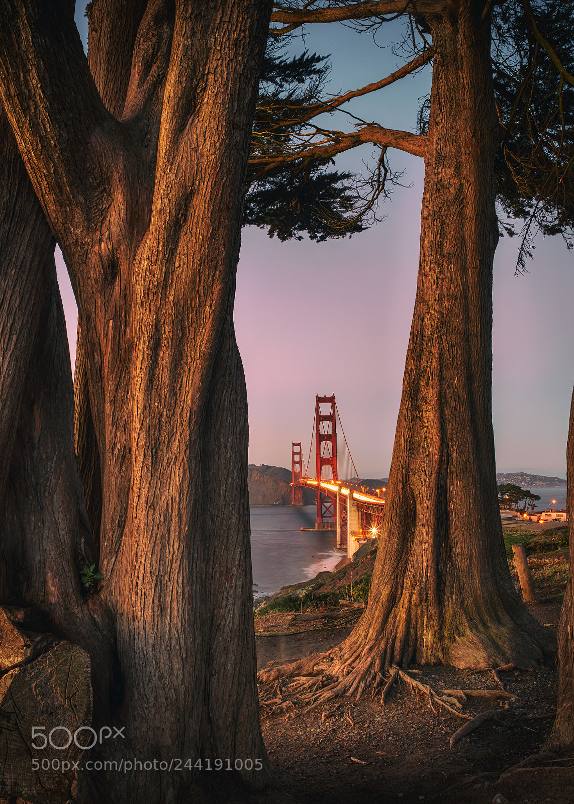 Sony a7R II sample photo. Peek-a-boo photography
