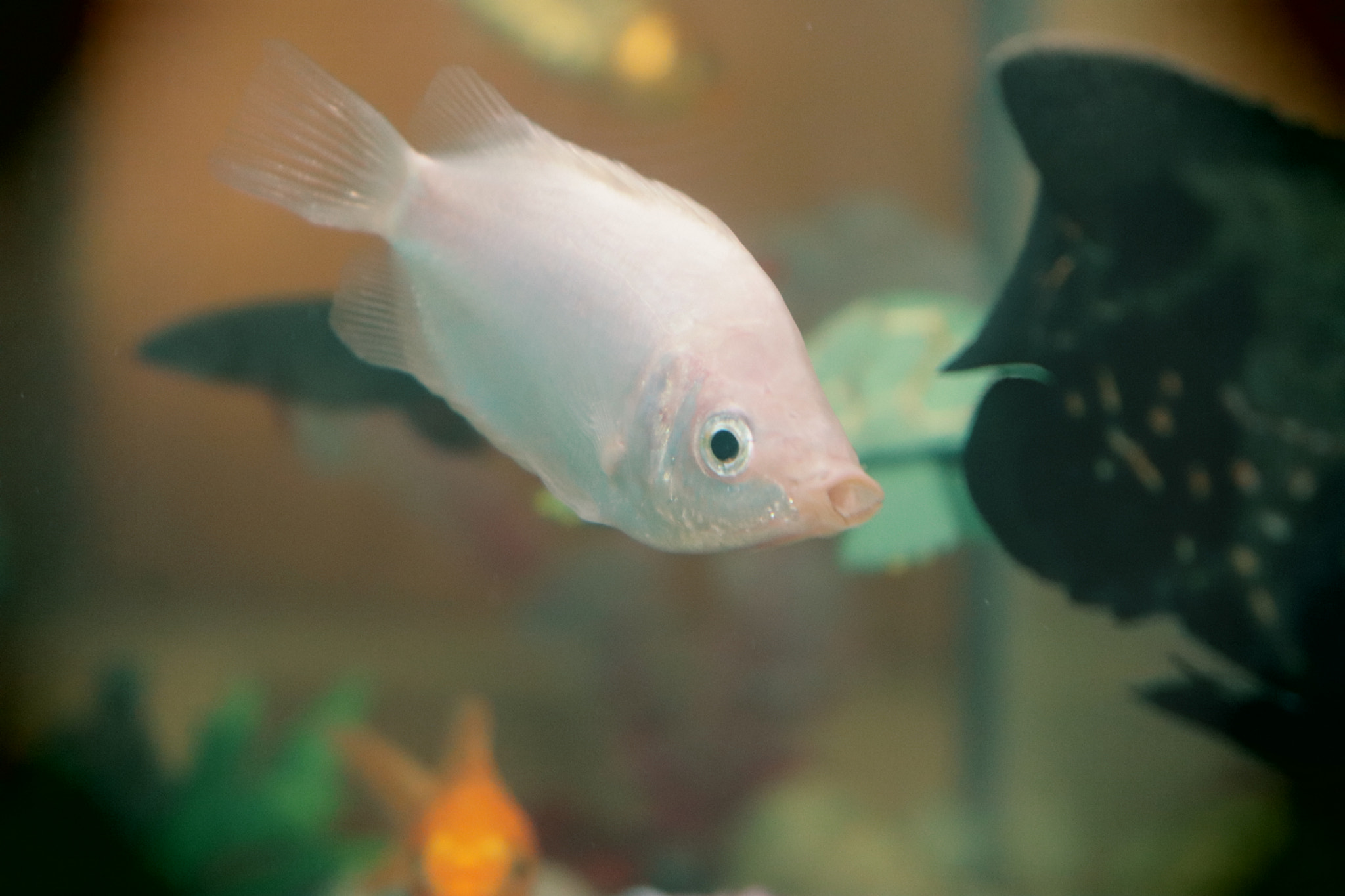 Canon EOS 77D (EOS 9000D / EOS 770D) sample photo