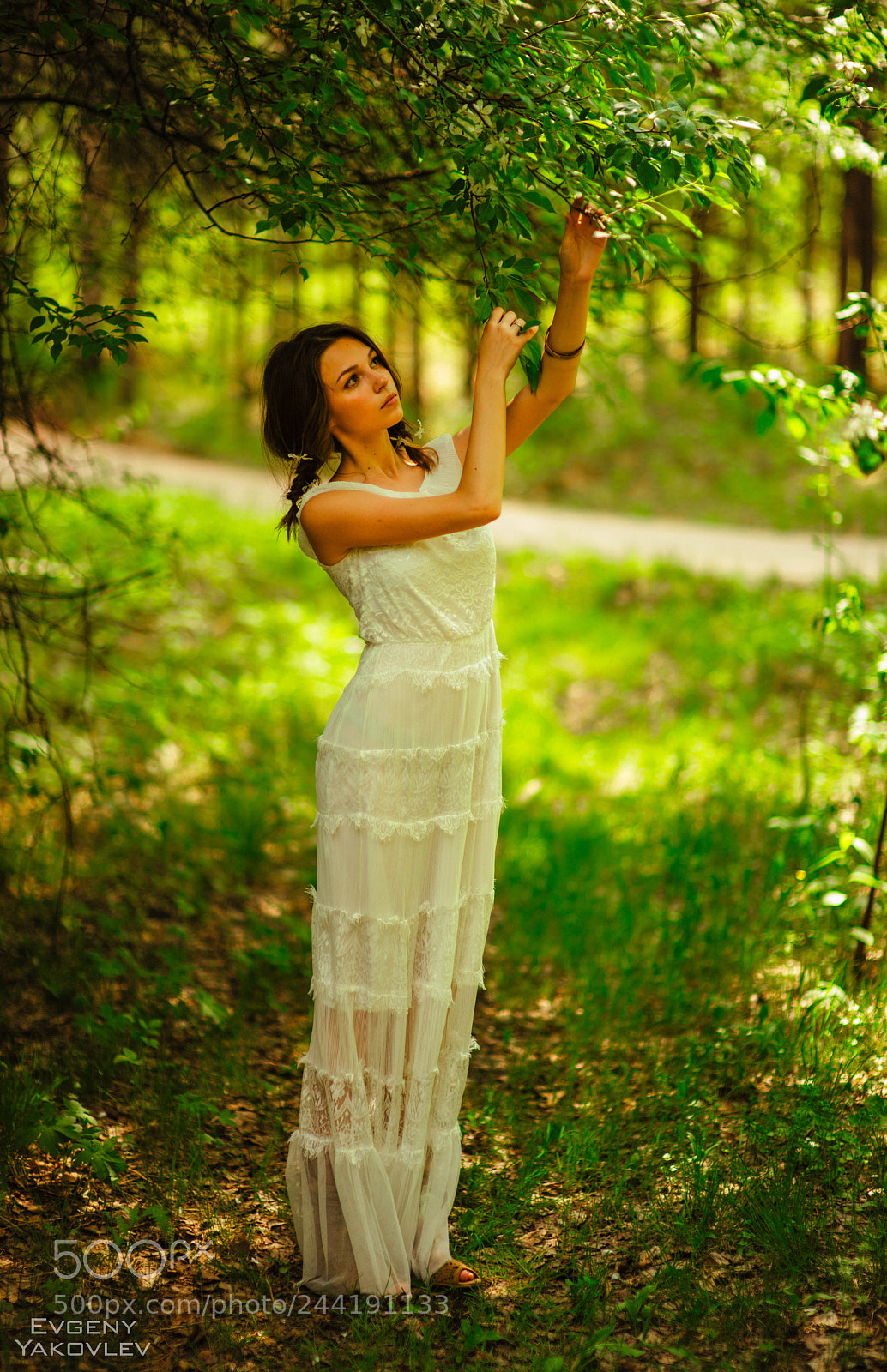 Nikon D800 sample photo. Forest walk 2 photography