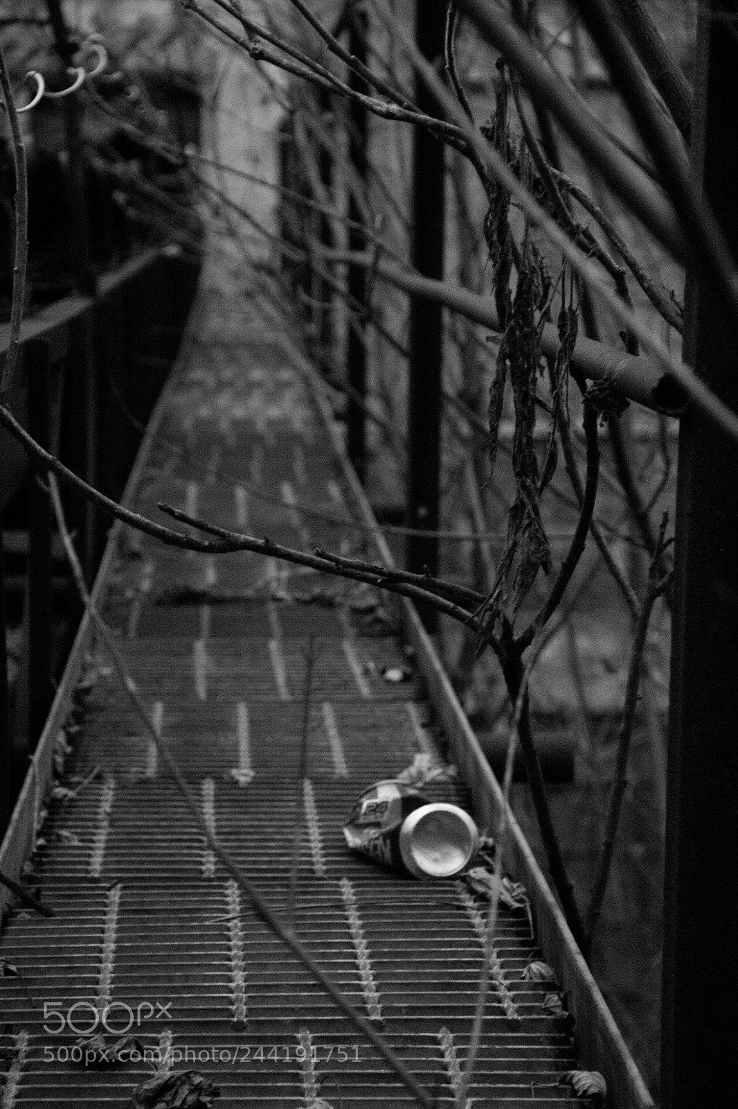 Canon EOS 60D sample photo. Catwalk photography