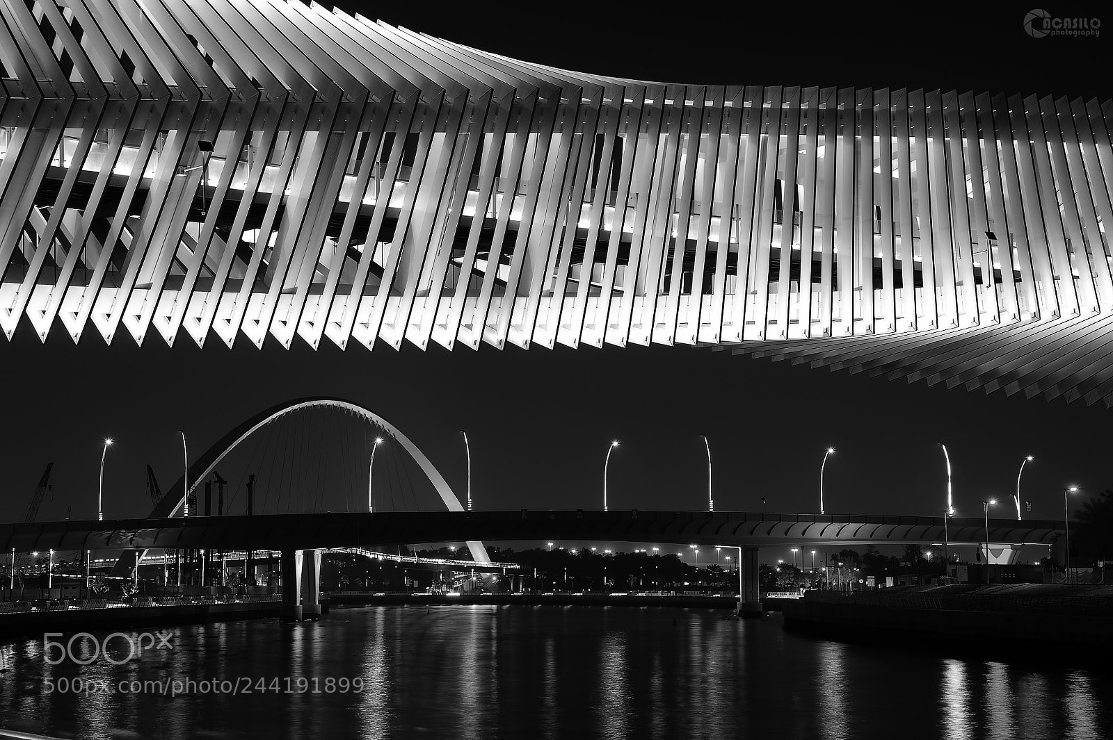 Nikon D700 sample photo. Bridge over bridge photography