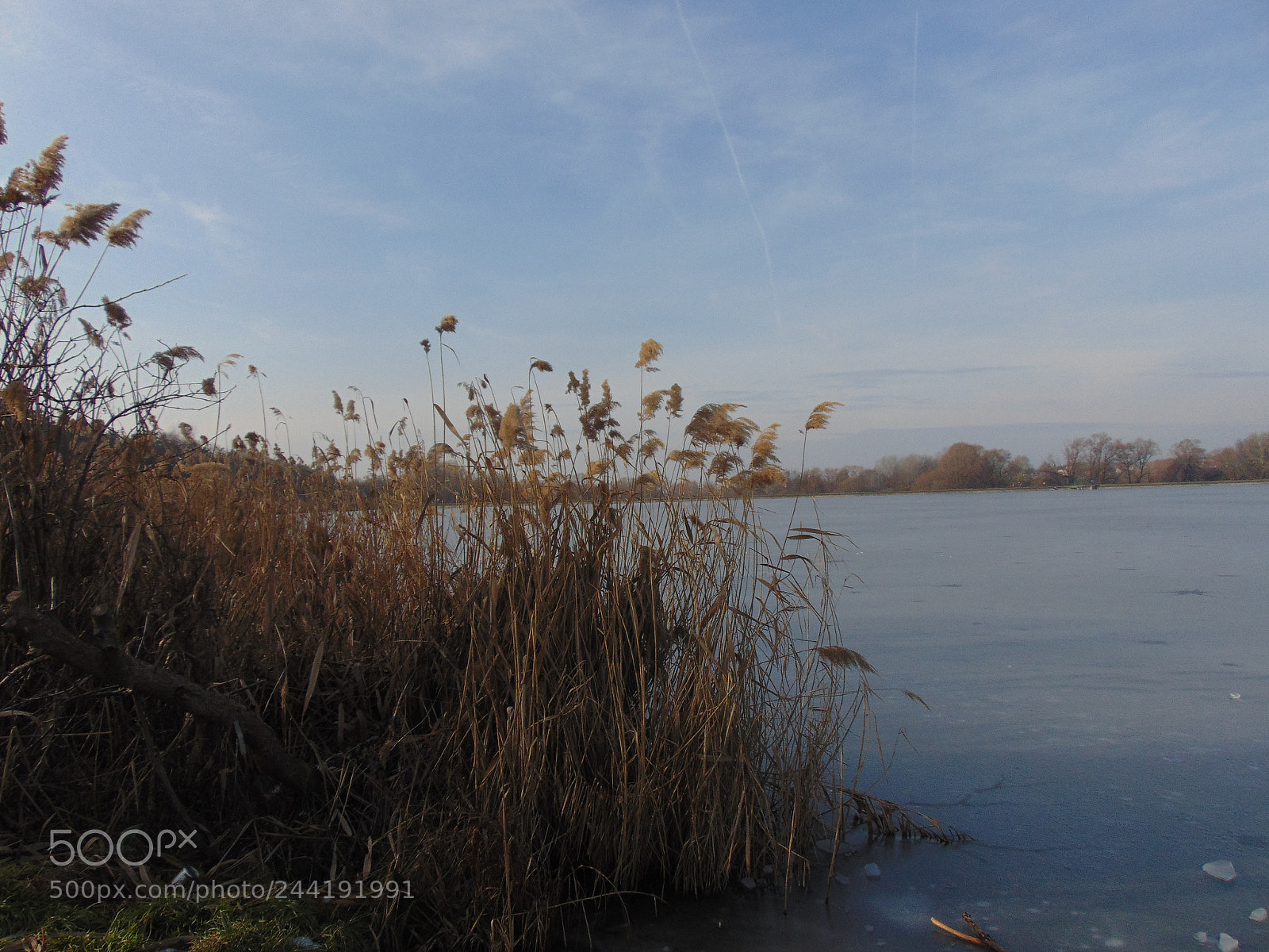 Sony Cyber-shot DSC-H300 sample photo. Icelake photography