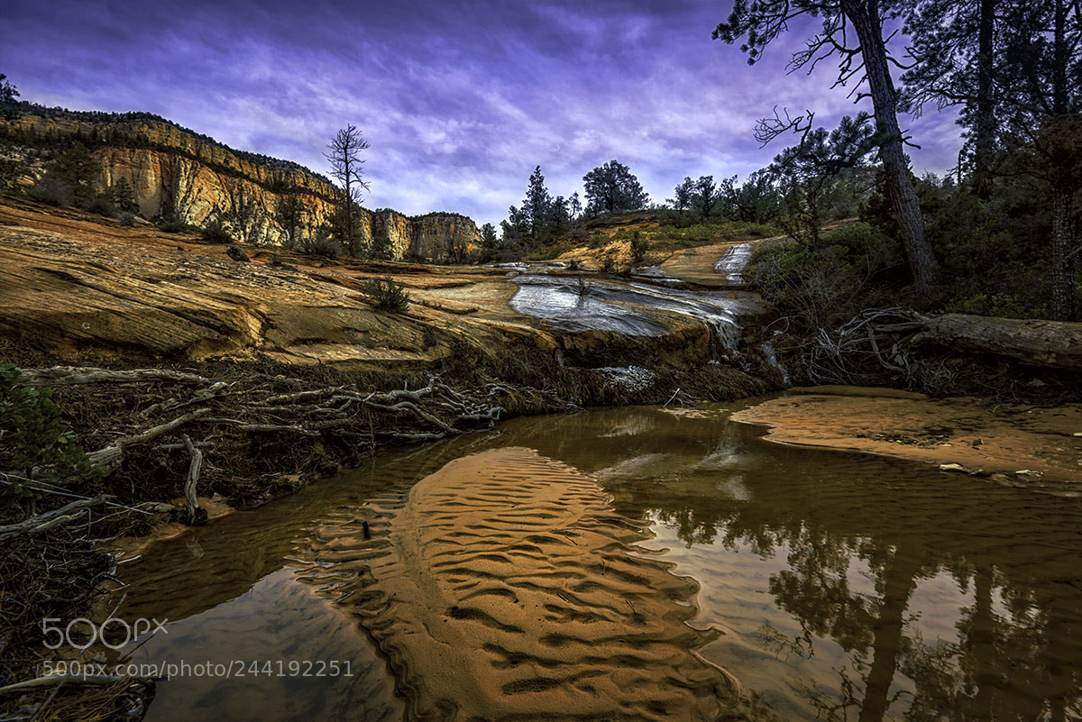 Nikon D810 sample photo. Zion at last light photography