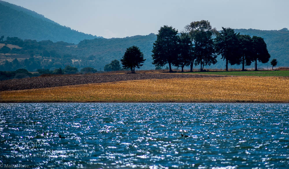 Nikon D3400 sample photo. Presa del dancho photography