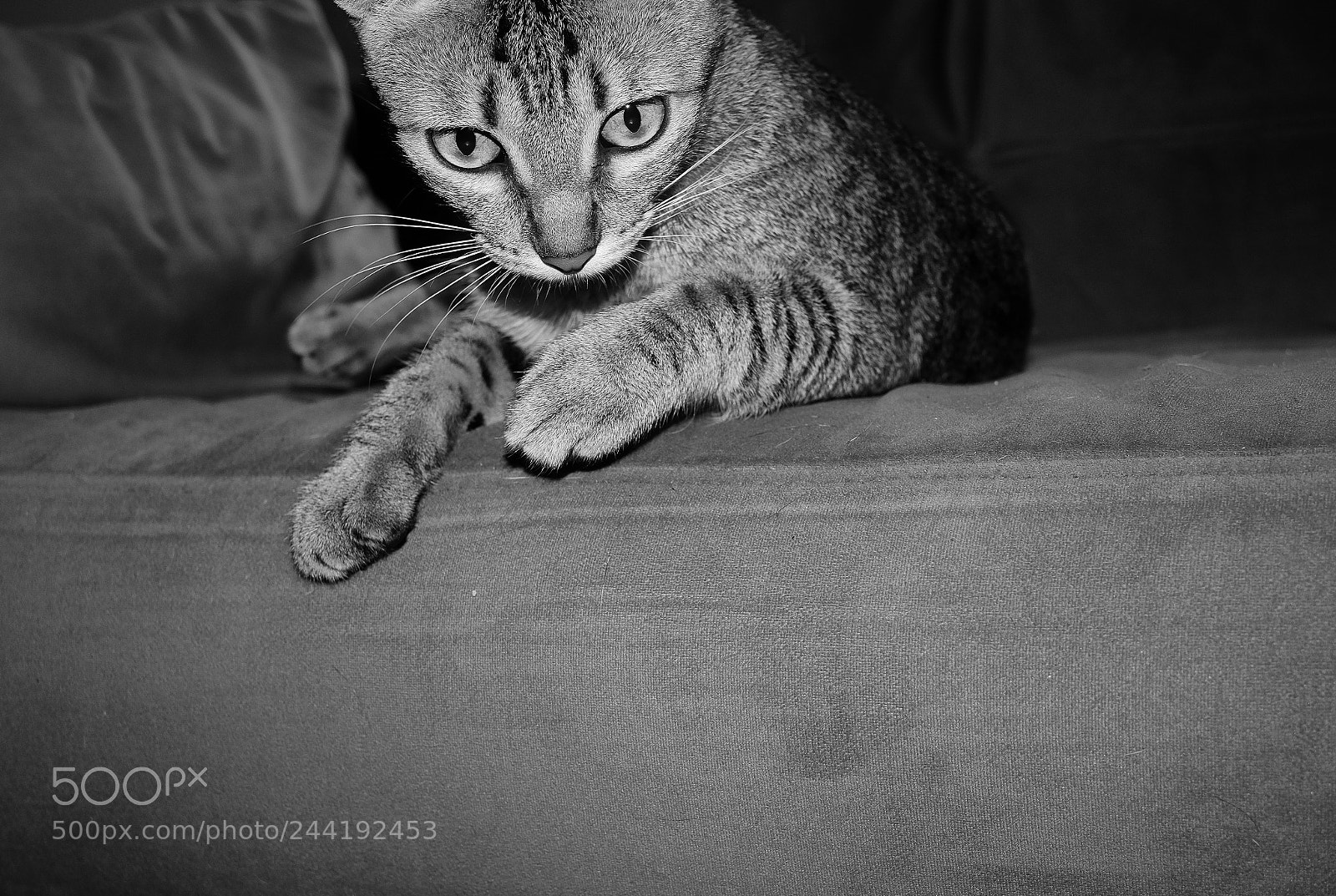 Fujifilm X-T10 sample photo. What's down there? photography