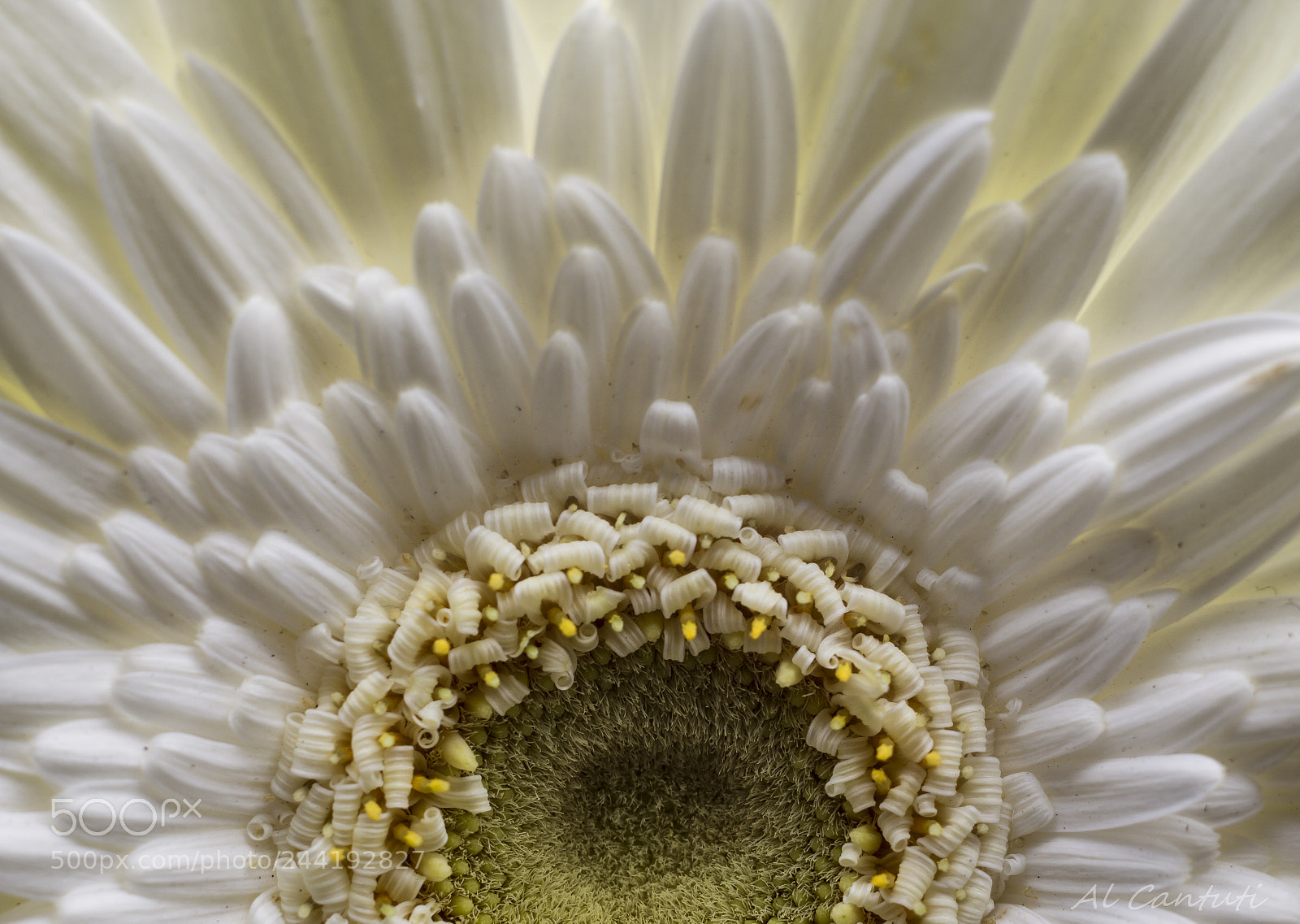 Canon EOS 700D (EOS Rebel T5i / EOS Kiss X7i) sample photo. «slow big-bang» photography